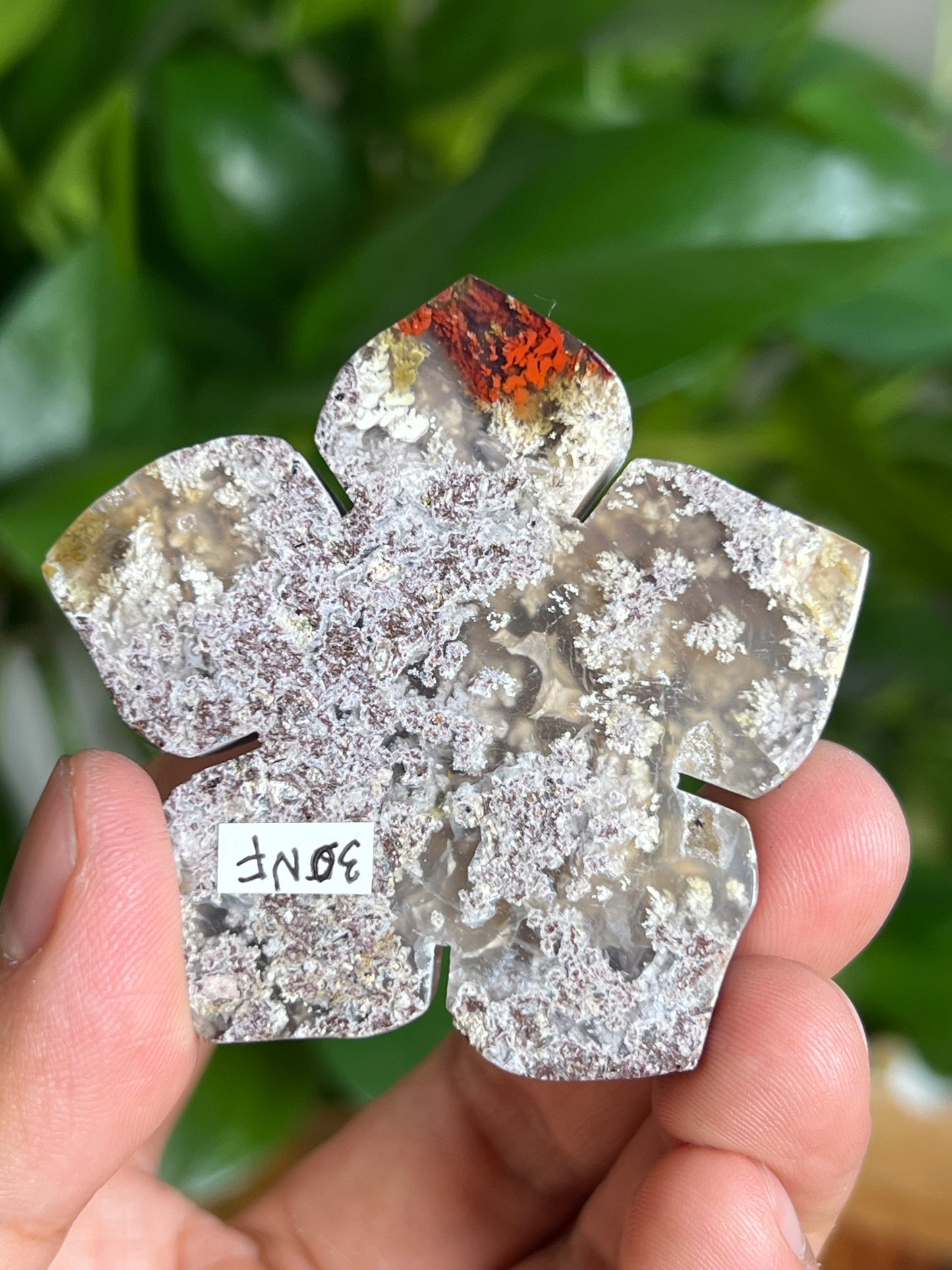 Scenic Moss Agate Flower: NF