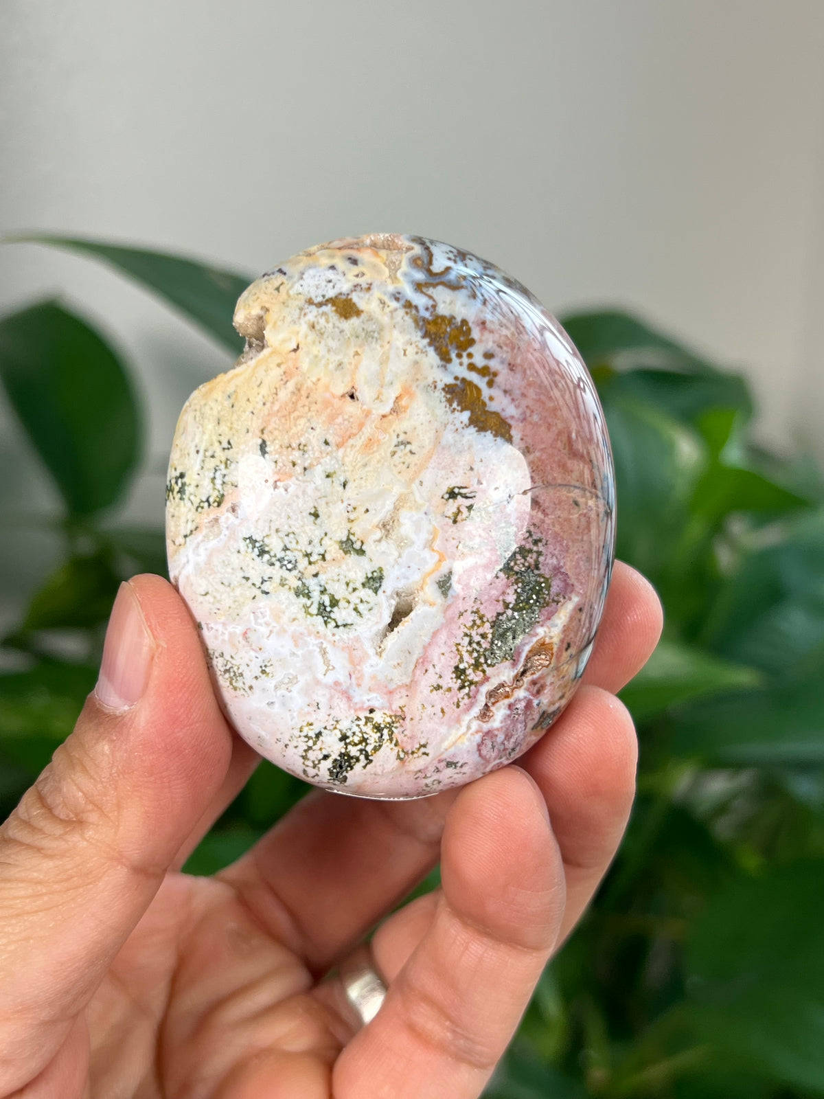 Sea Jasper Palmstones