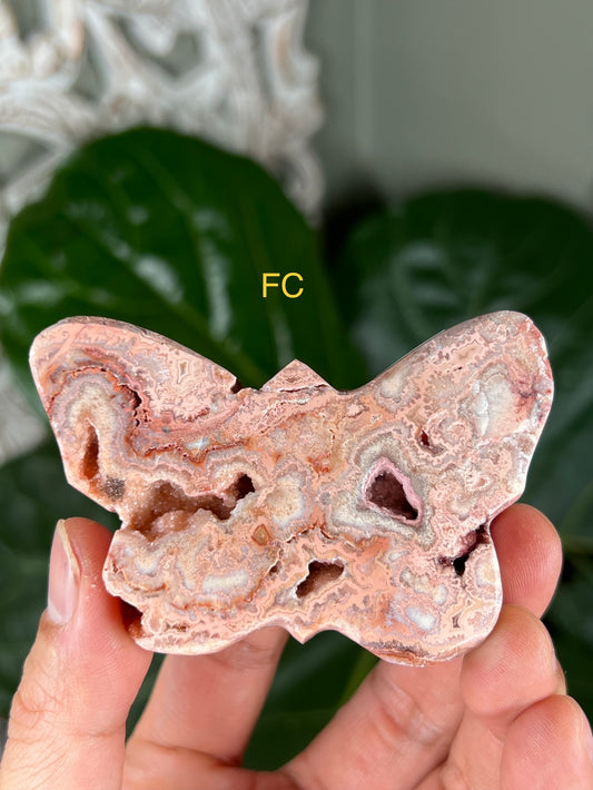 Crazy Lace Agate Self-Standing Butterfly (Small): FC