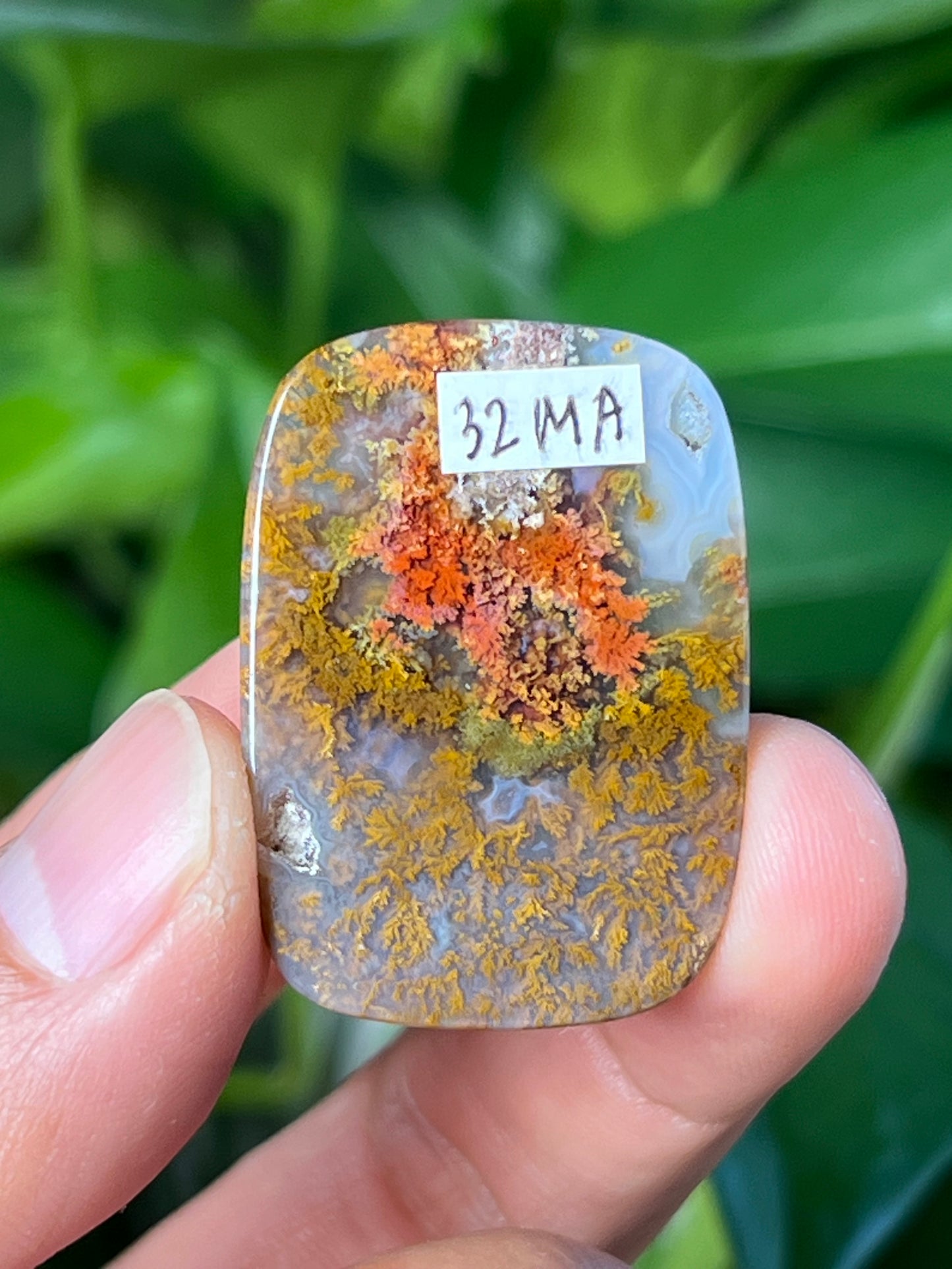 Scenic Moss Agate Cabochon