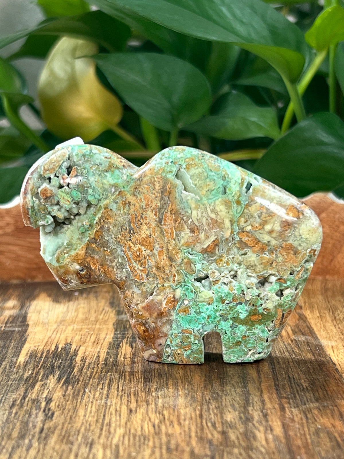 Smithsonite Buffalos