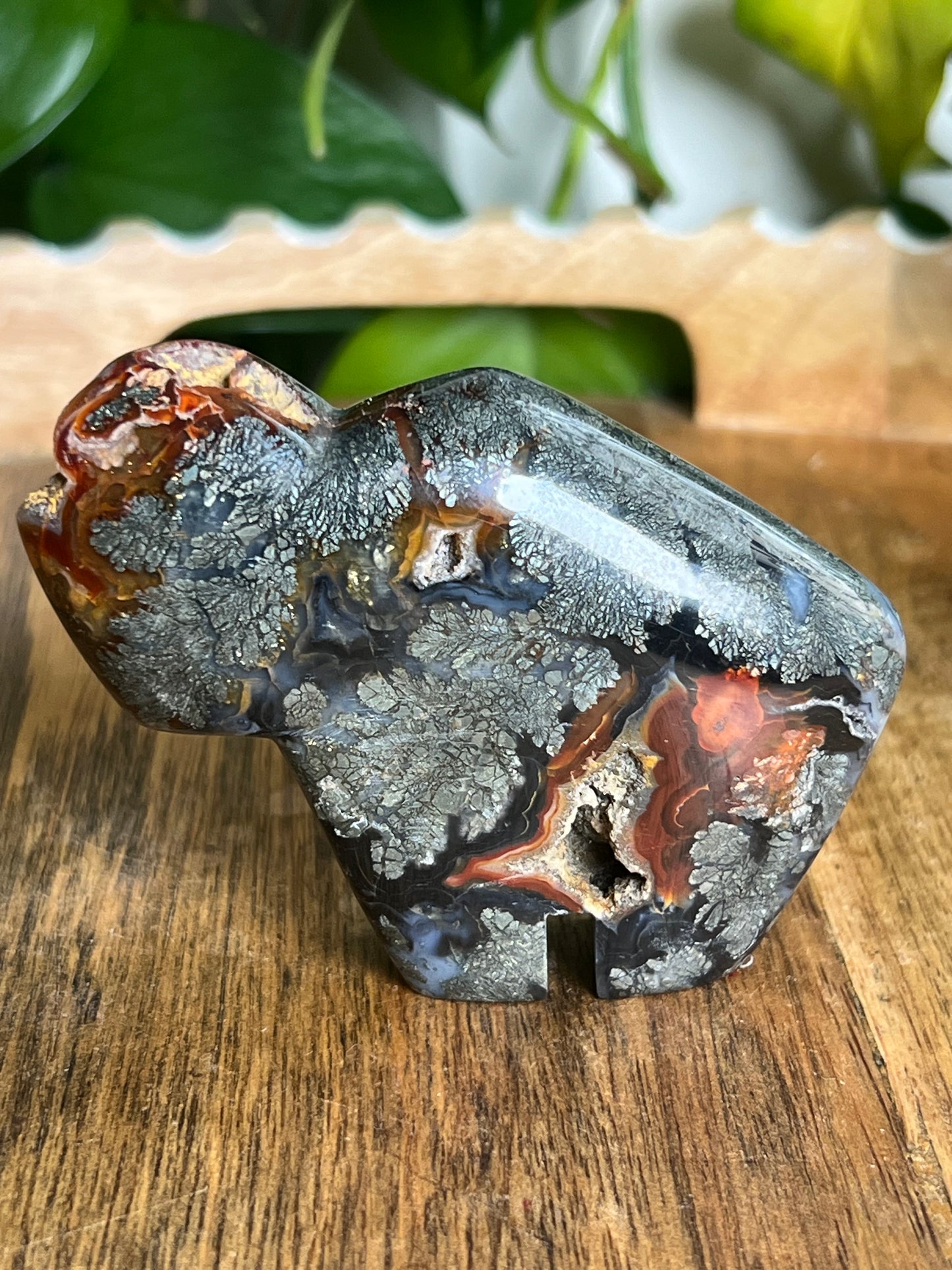 Marcasite Buffalo