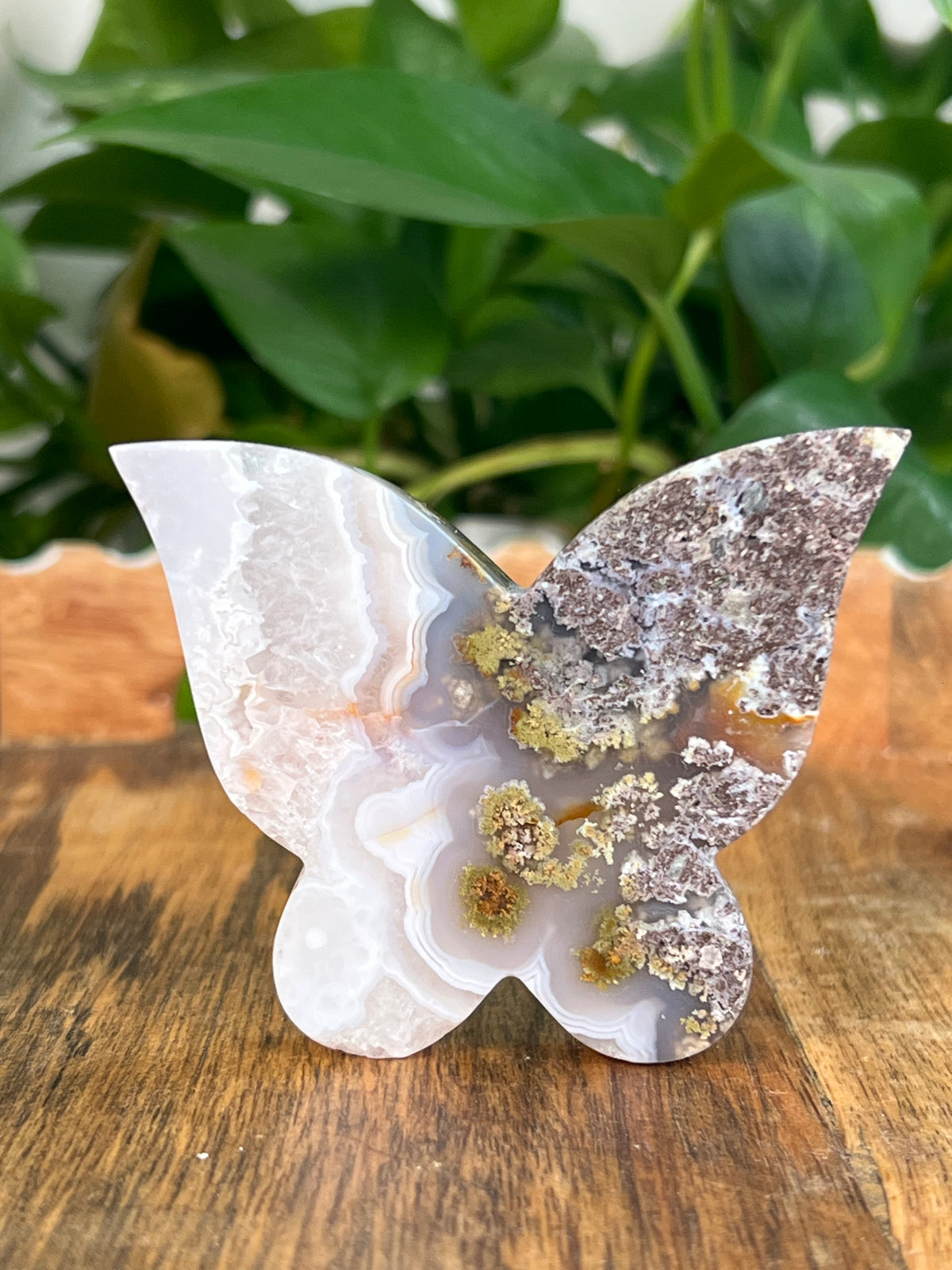 Scenic Moss Agate Butterflies