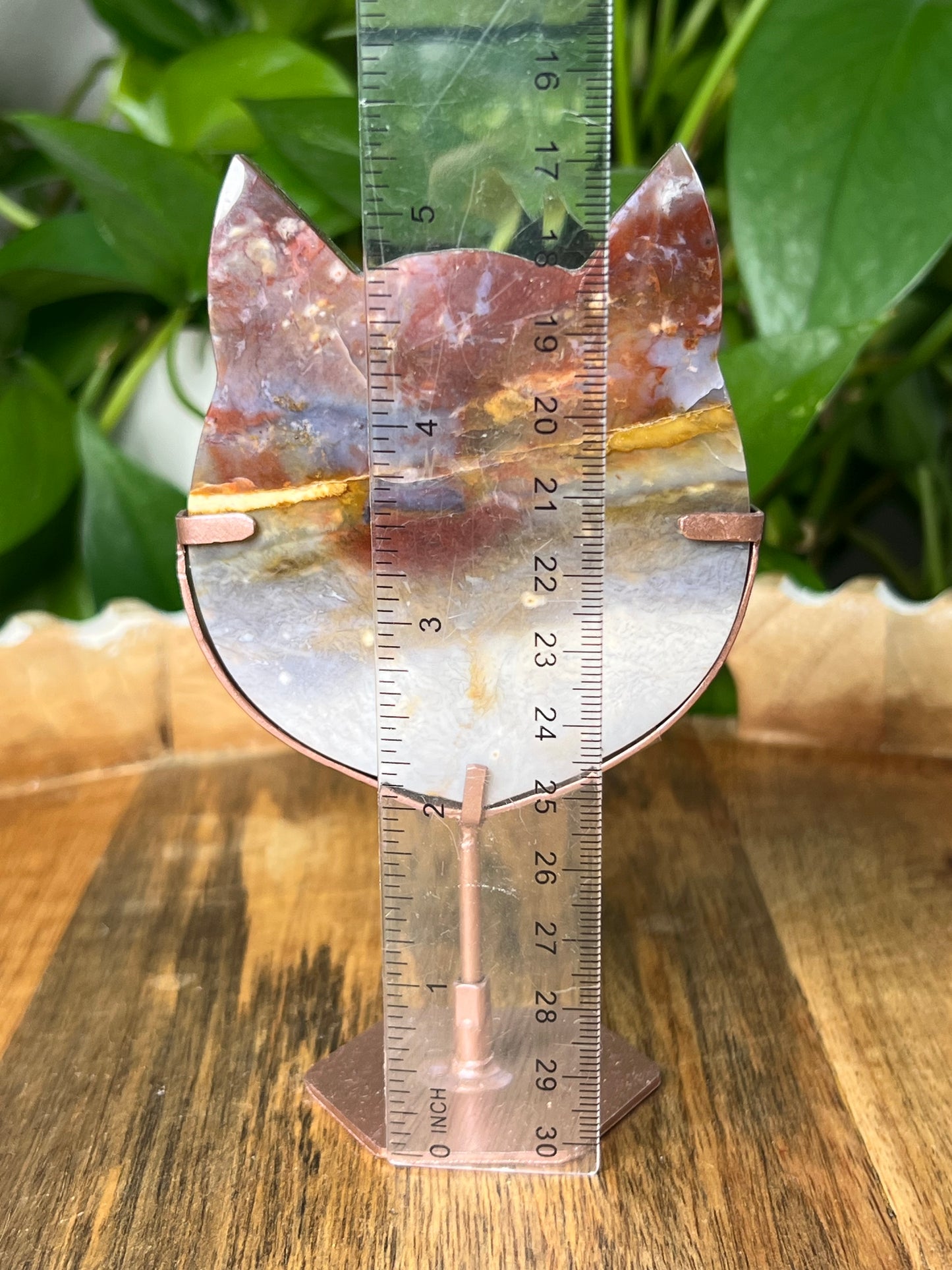 River Jasper Cat
