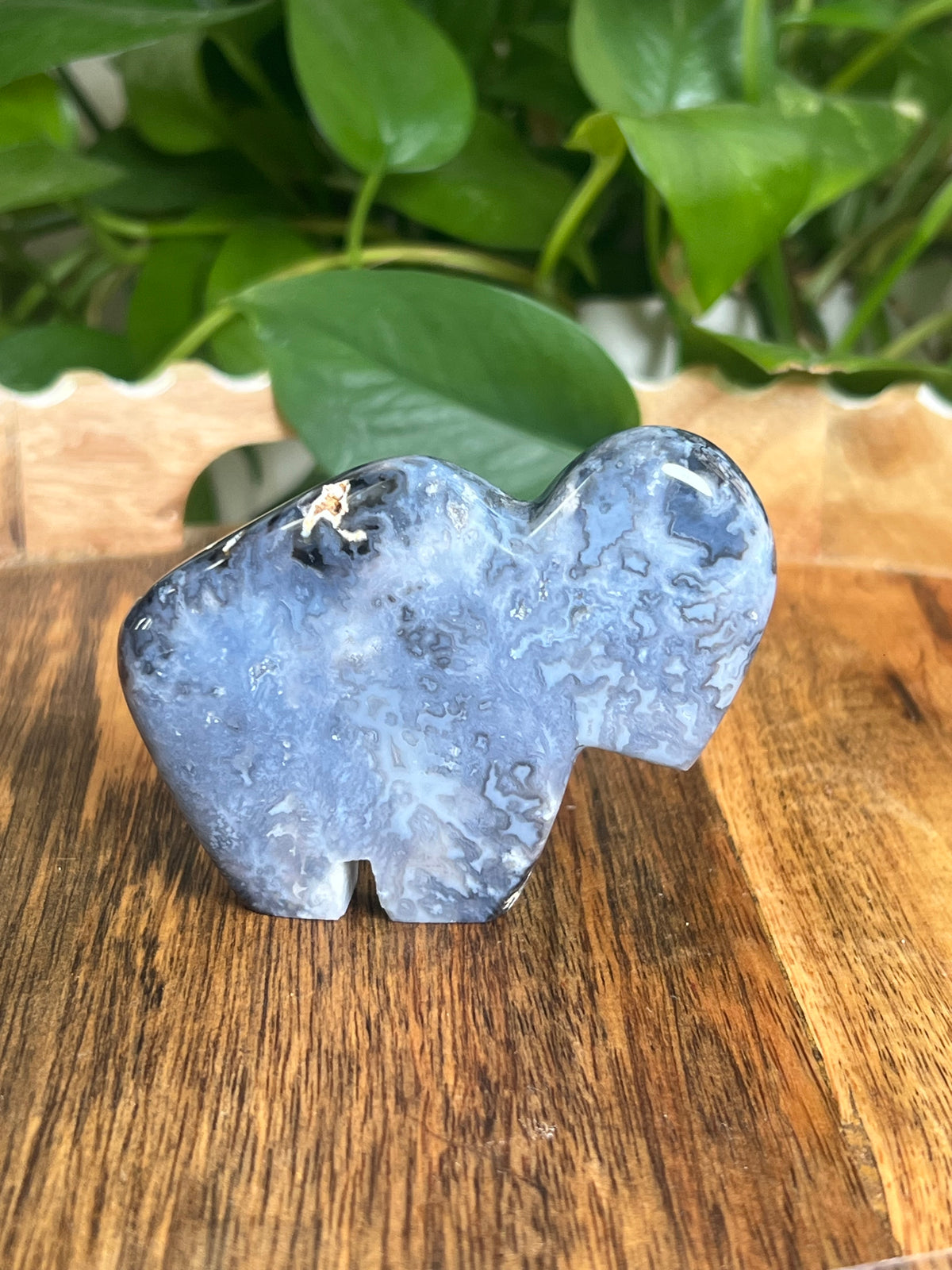 Blue Plume Agate Buffalo: PB