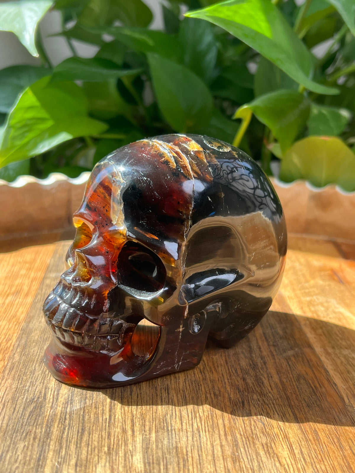 Blue Amber Skull: NB