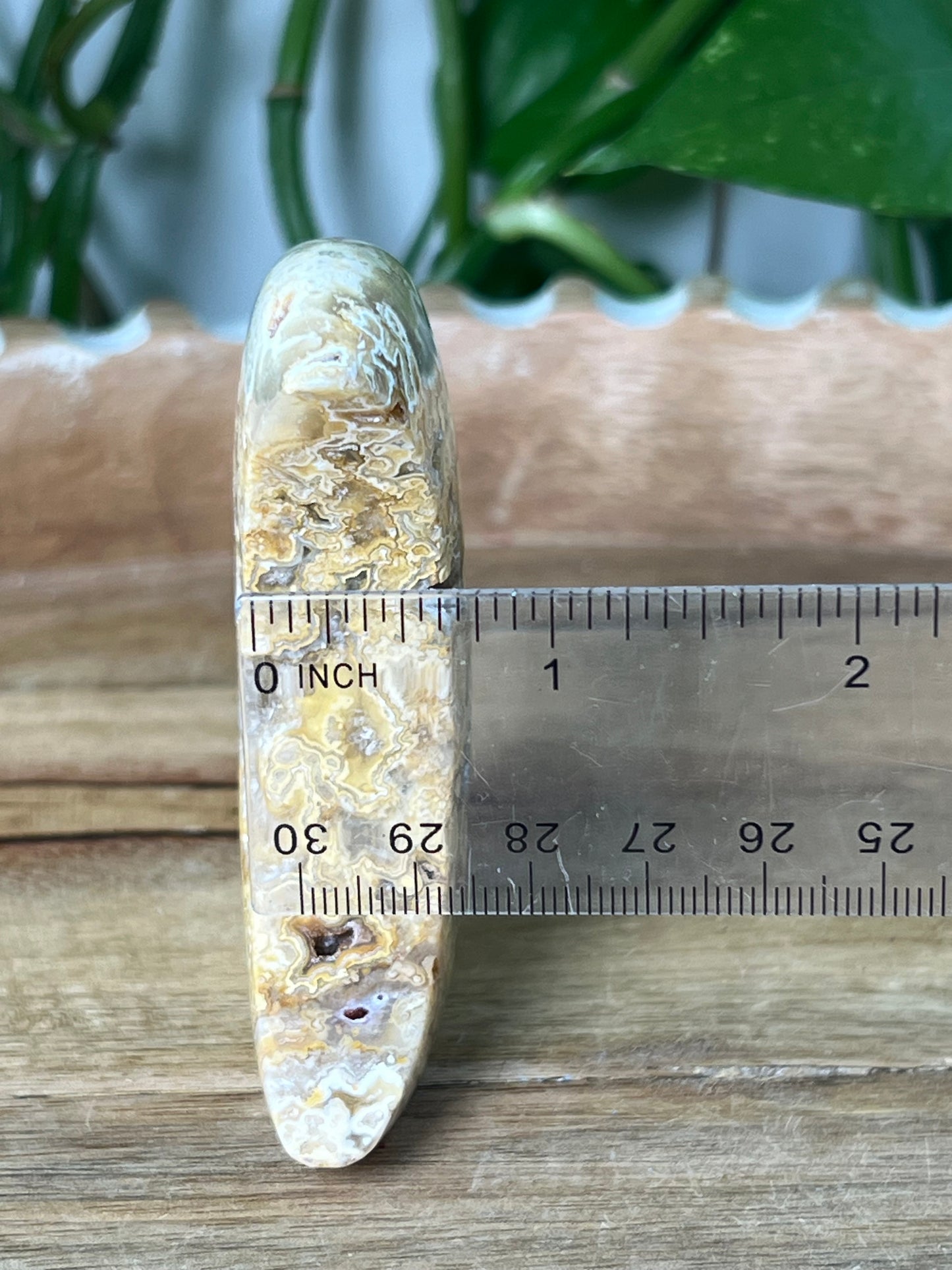 Crazy Lace Agate Moon