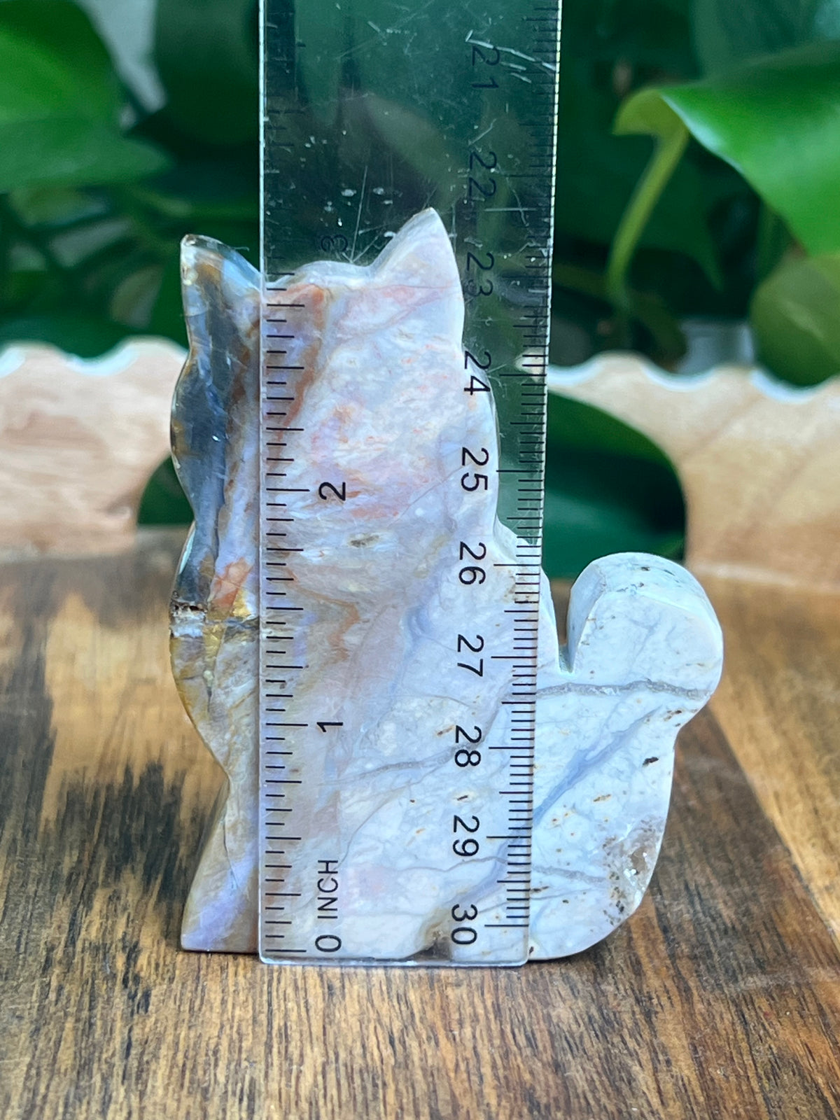 River Jasper Cat: PF