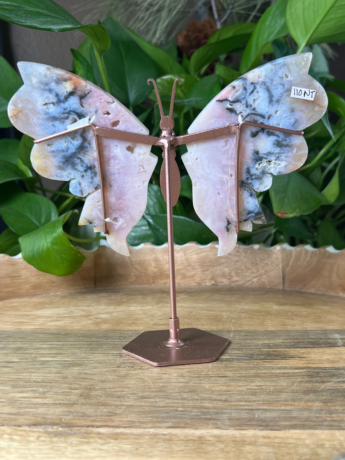 Rainbow Plume Agate Wings