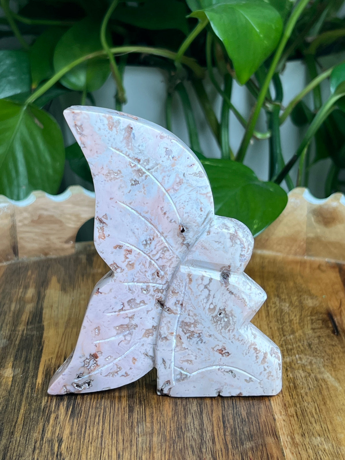 Pink Carnelian Fairy: EN