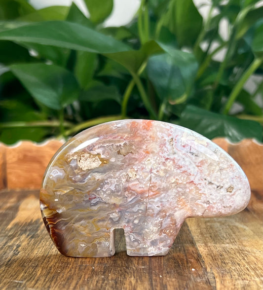 Sumatra Plume Agate Bears