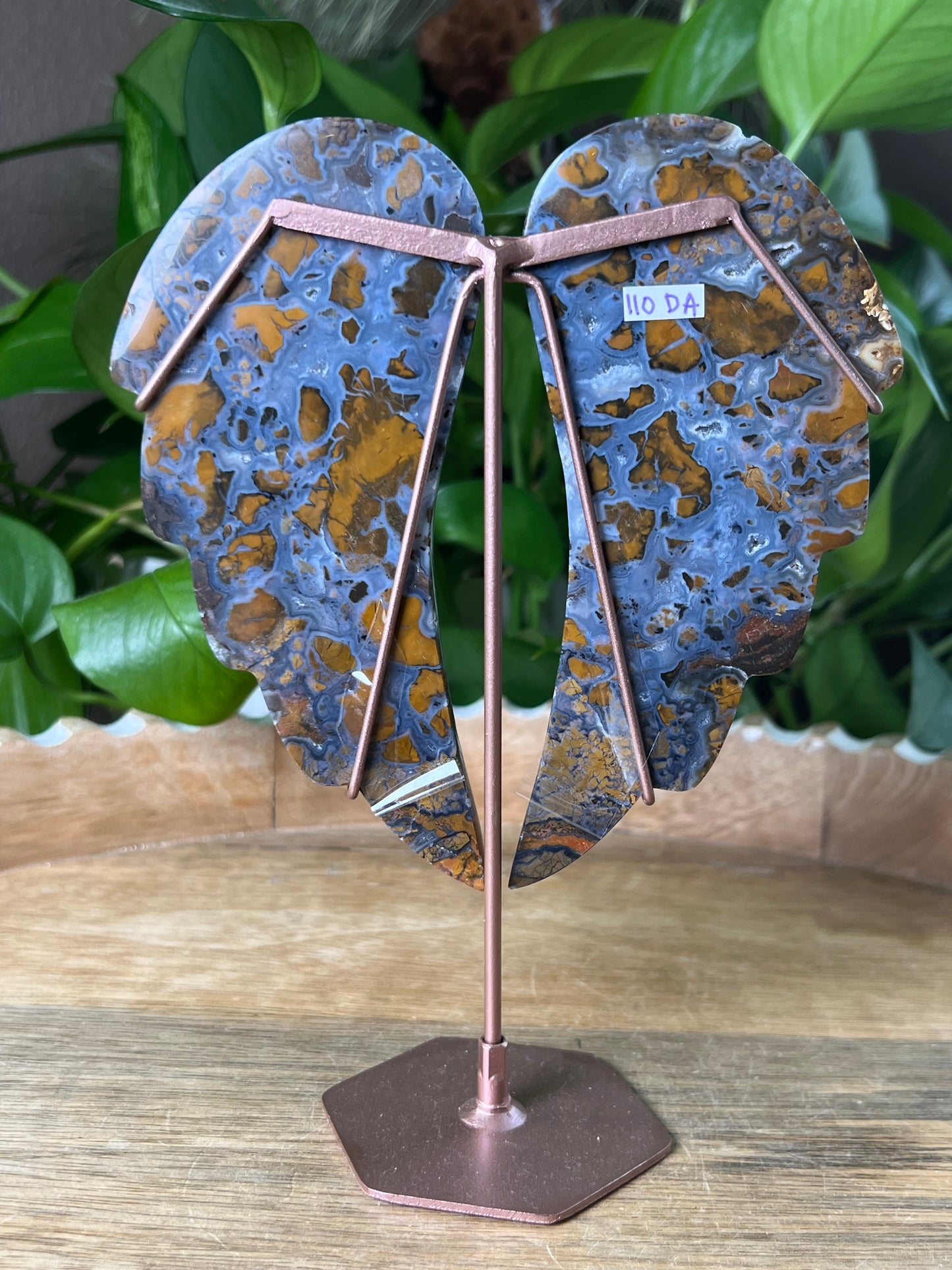Brecciated Jasper Wings