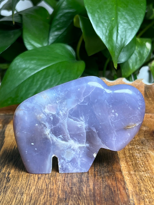 Purple Chalcedony Buffalo: KC