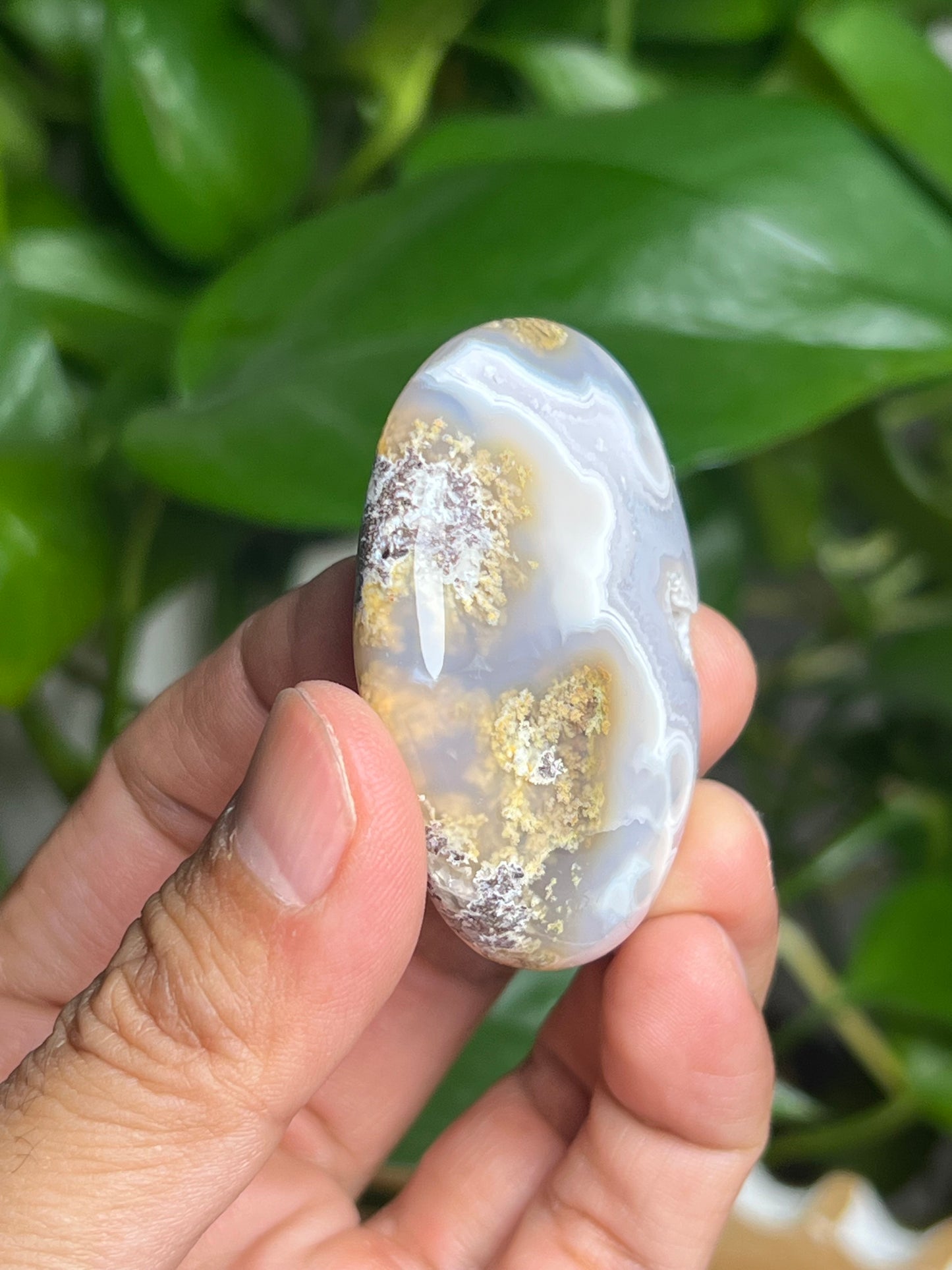 Scenic Moss Agate Palmstone: BL