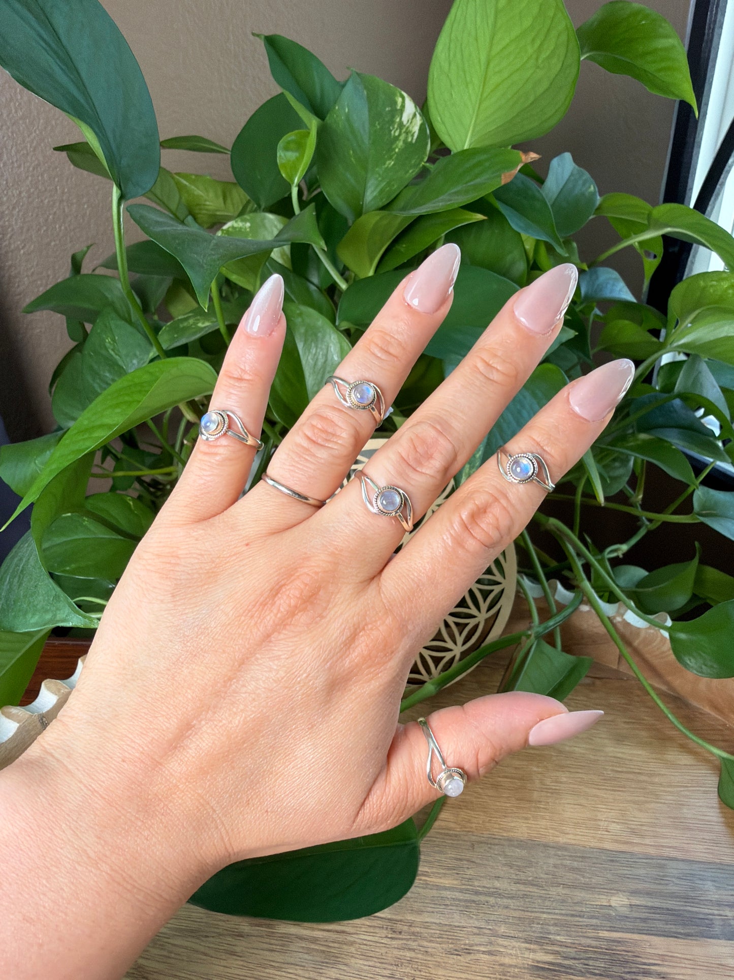 Moonstone Circle Ring