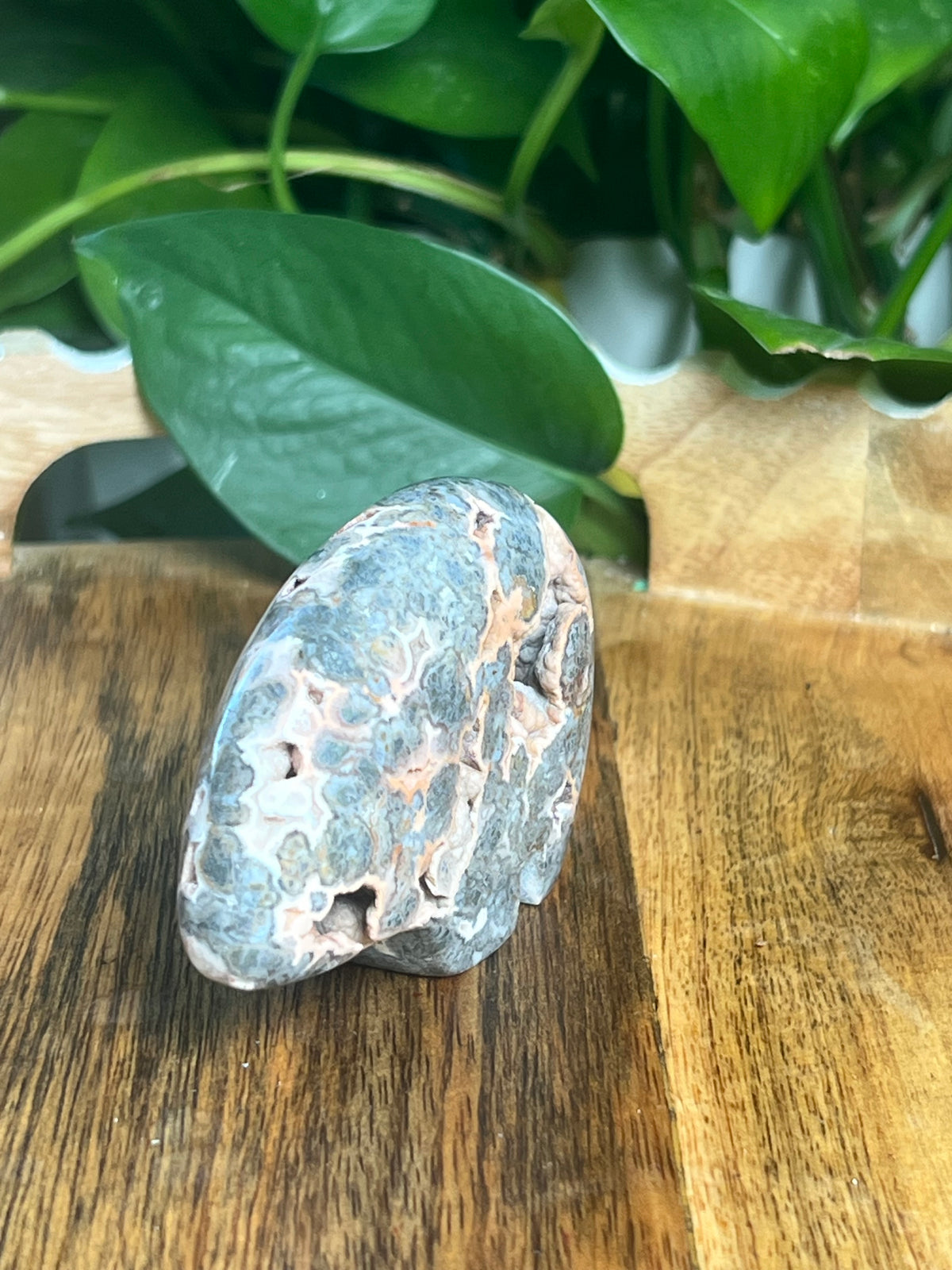 Marcasite Bear: TE