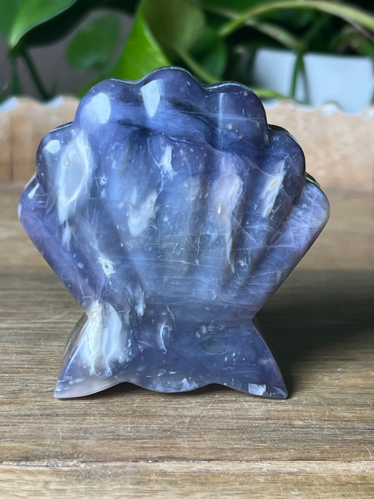 Purple Chalcedony Shell
