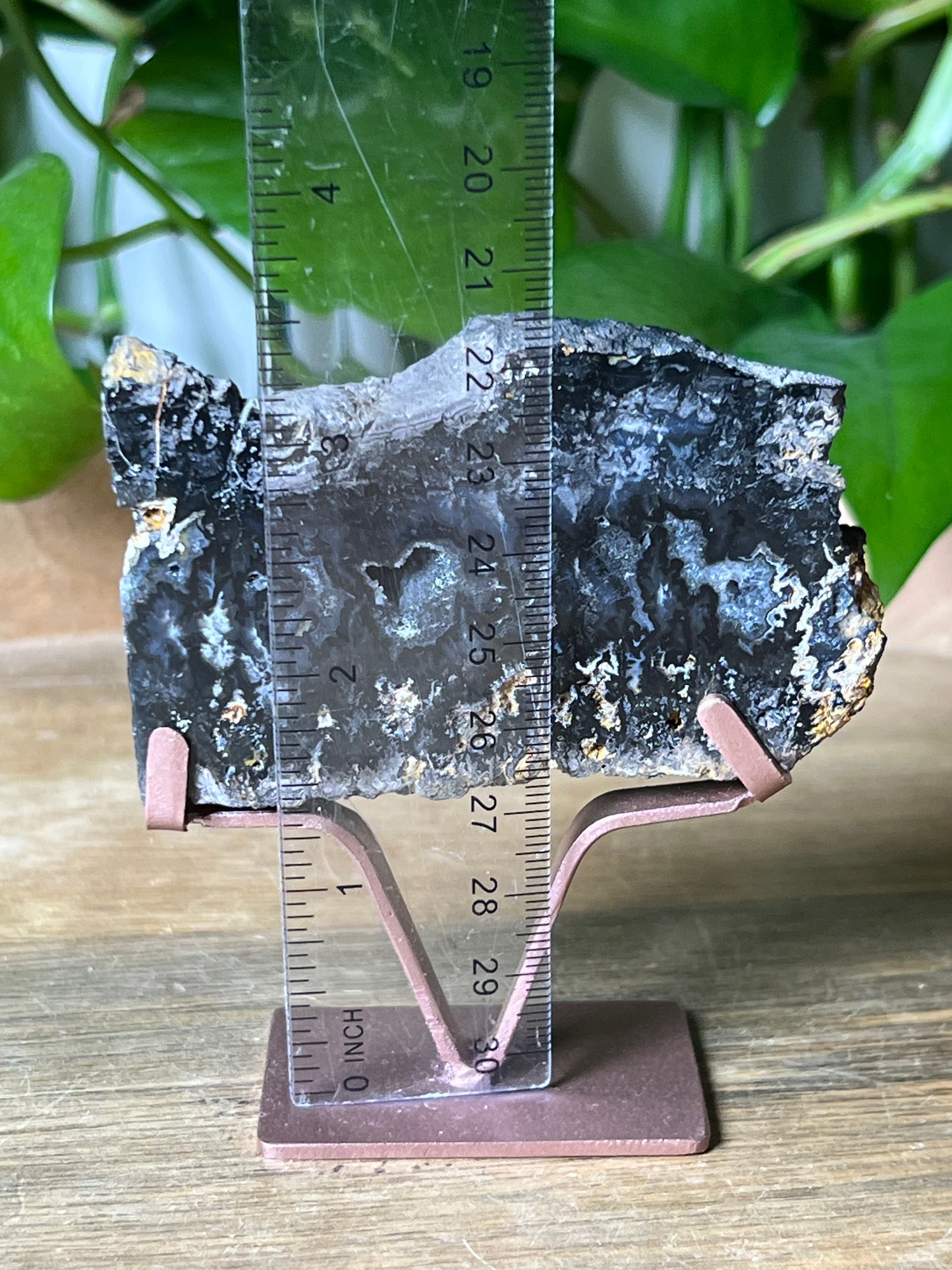 Blue Plume Agate Slab