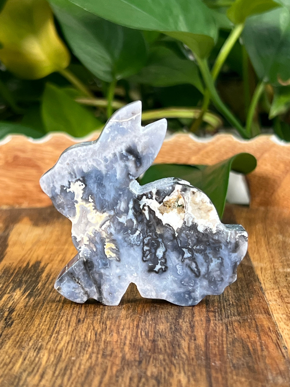 Blue Plume Agate Bunnies