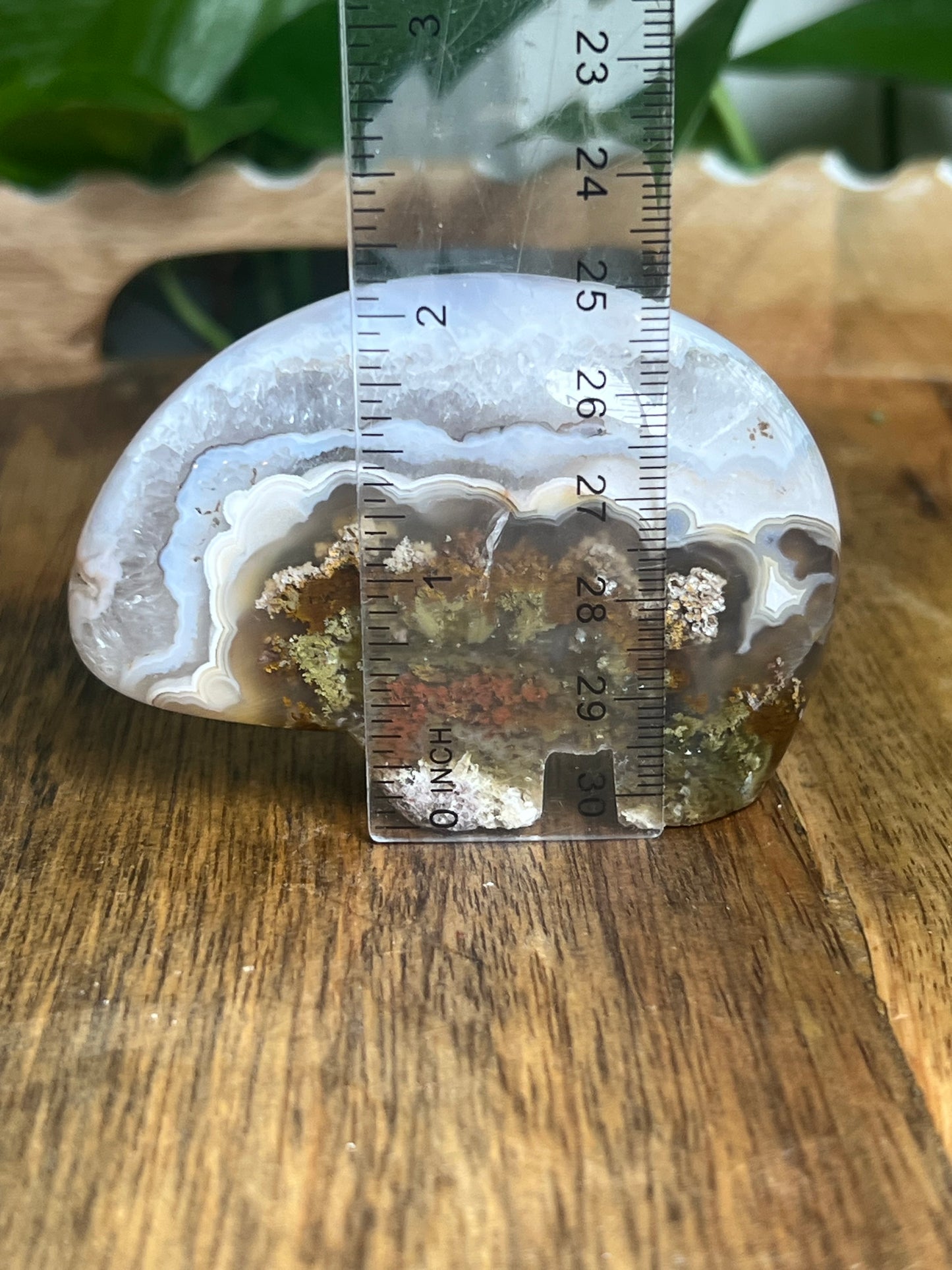 Scenic Moss Agate Bear BX