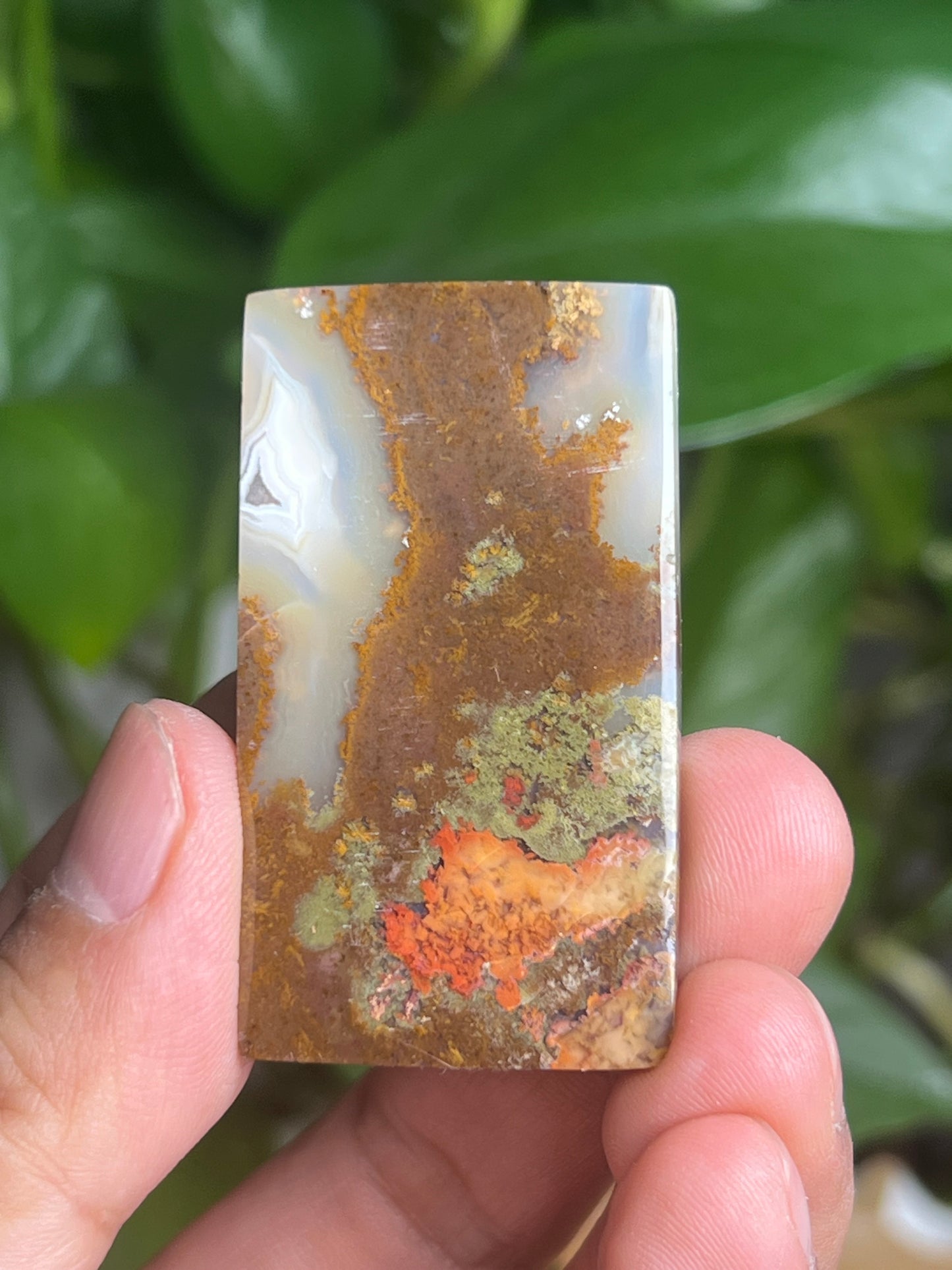 Scenic Moss Agate Cabochon: BB