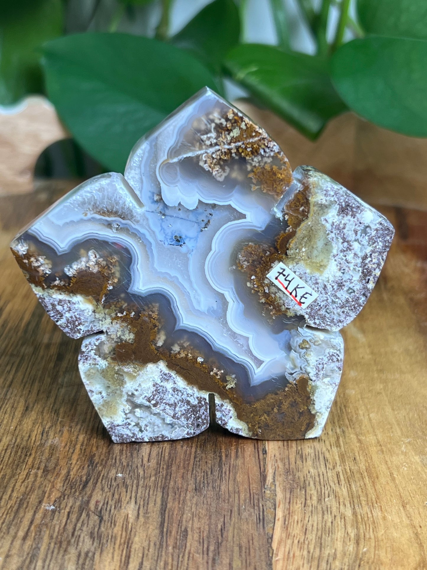 Scenic Moss Agate Flower KE