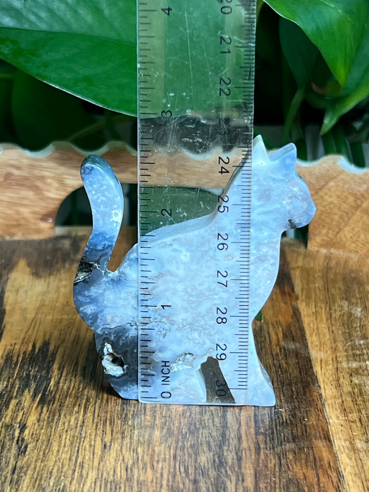 Blue Plume Agate Cats