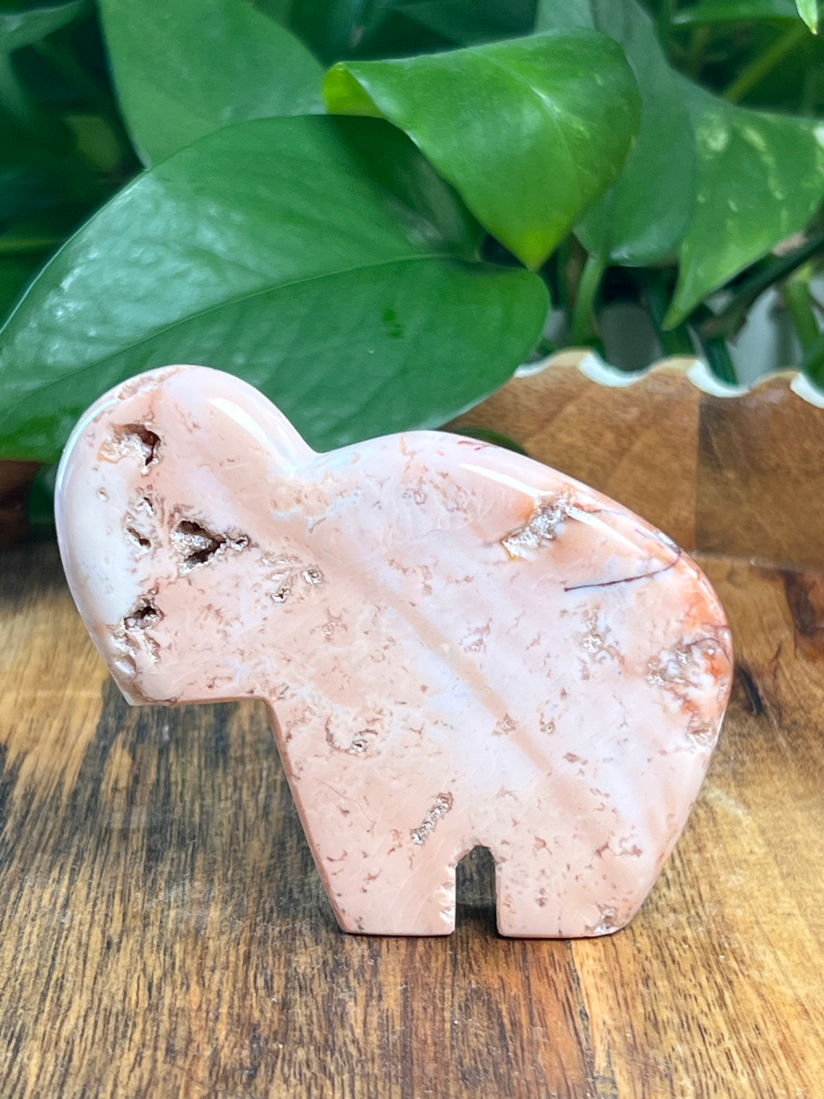 Pink Carnelian Buffalo: VD