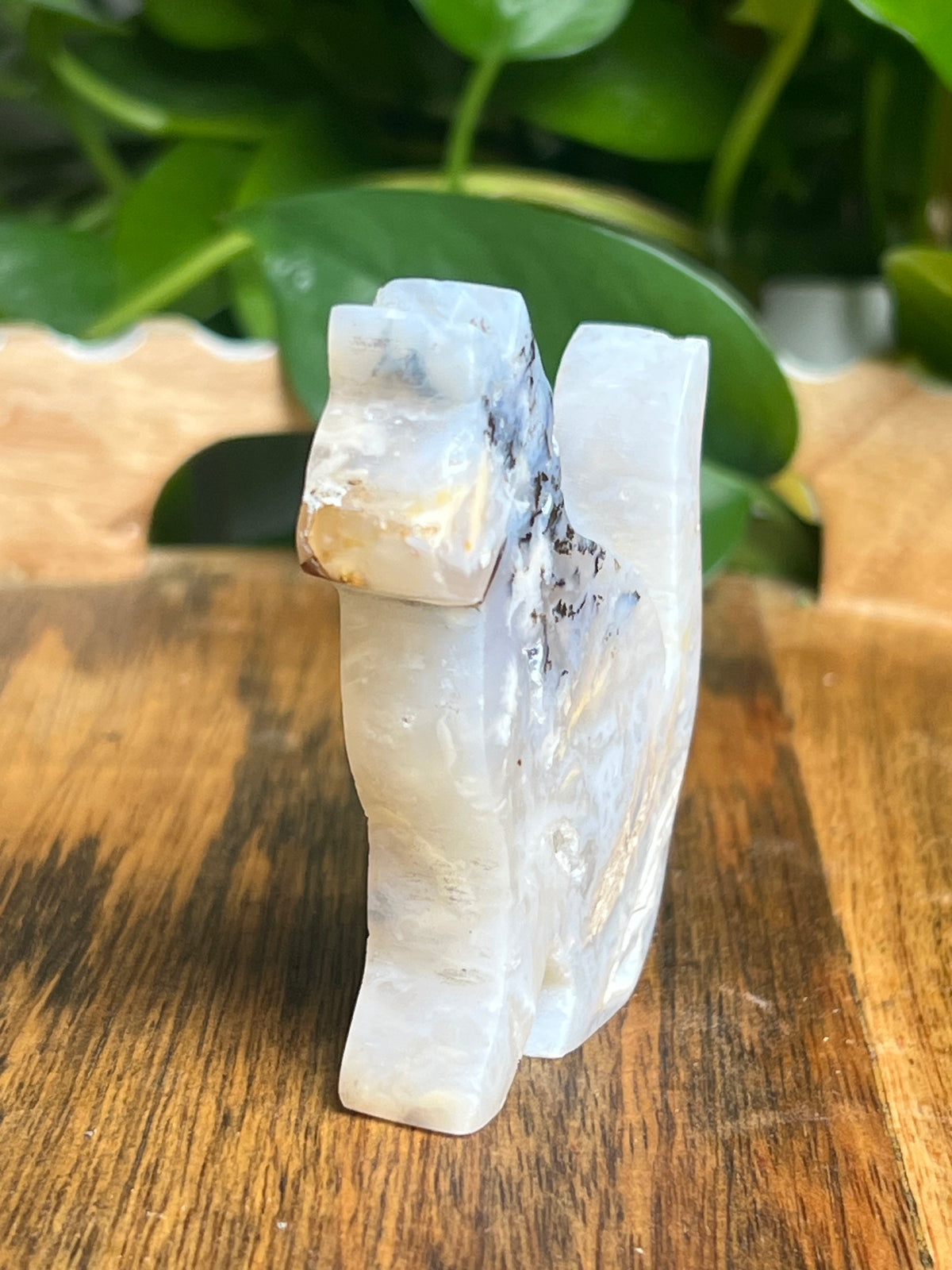 Dendritic Tiger Agate Cat: PE
