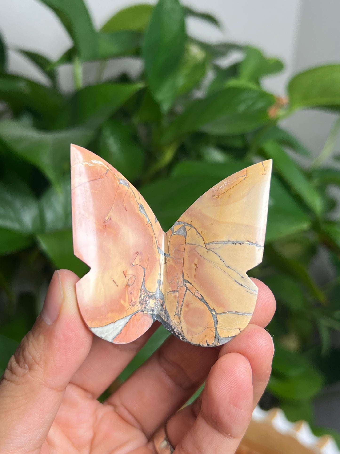 Maligano 3D Butterfly: AJ