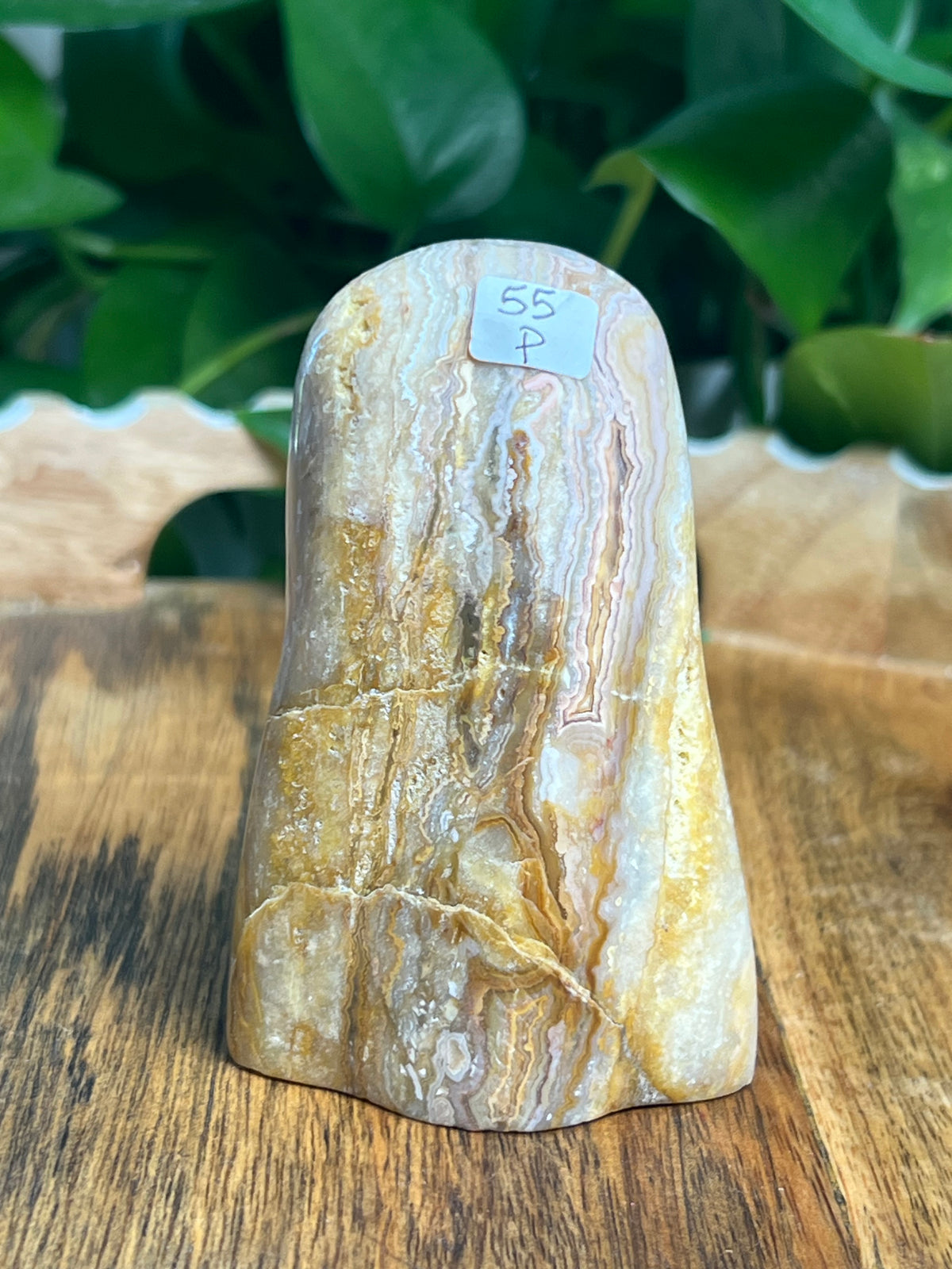 Crazy Lace Agate Ghost: P