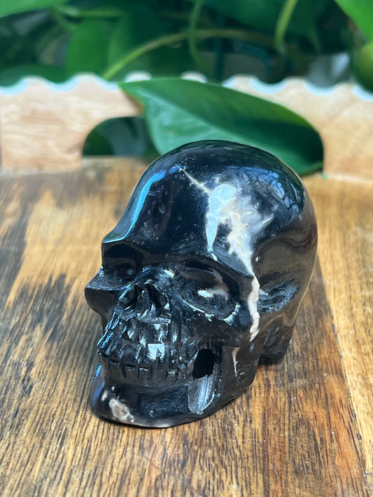 Palm Root Skull: S