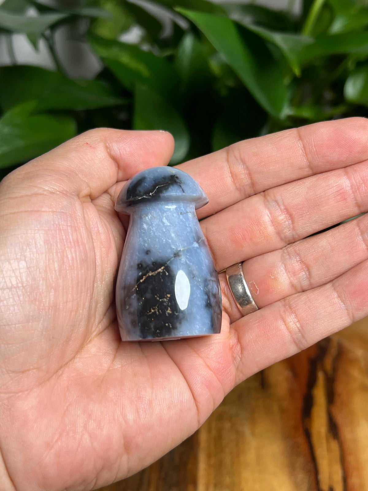 Blue Plume Agate Mushroom: TP