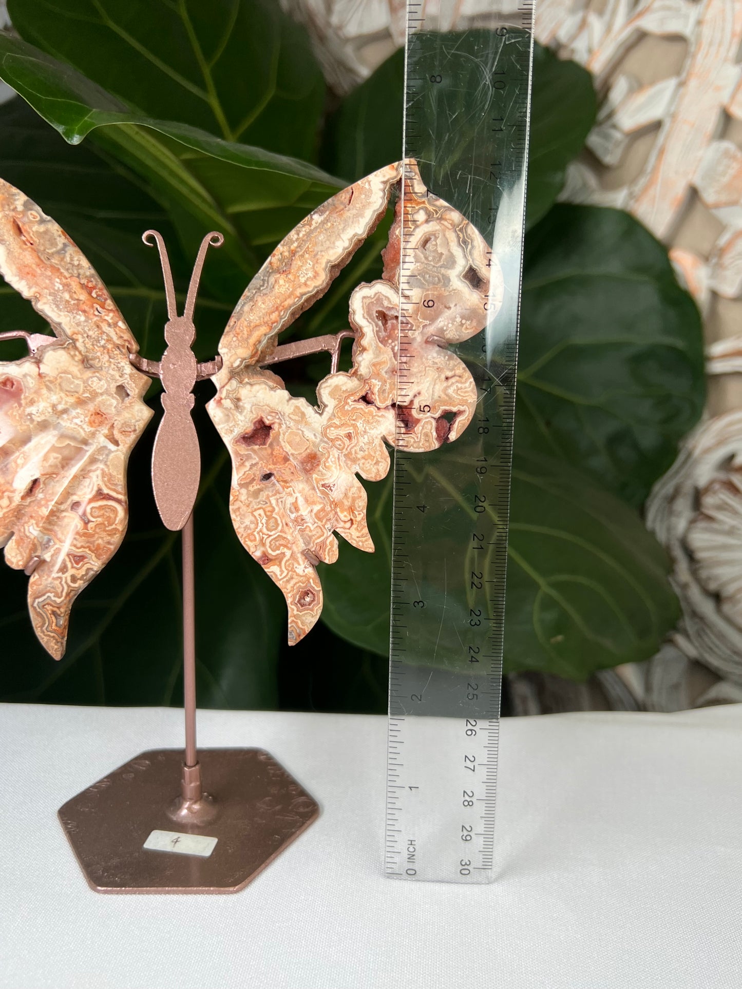 Crazy Lace Agate Wings