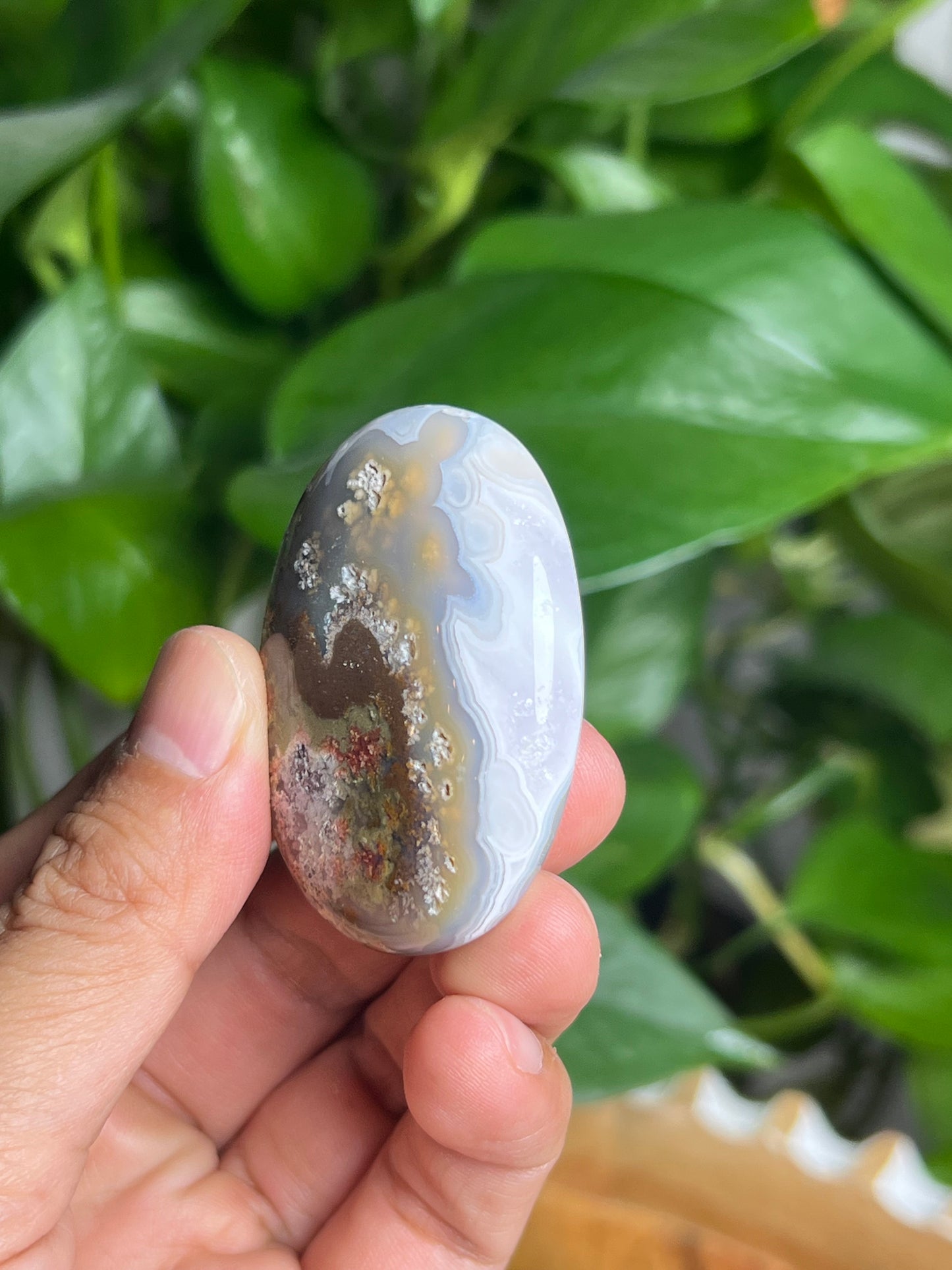 Scenic Moss Agate Palmstone: Bi