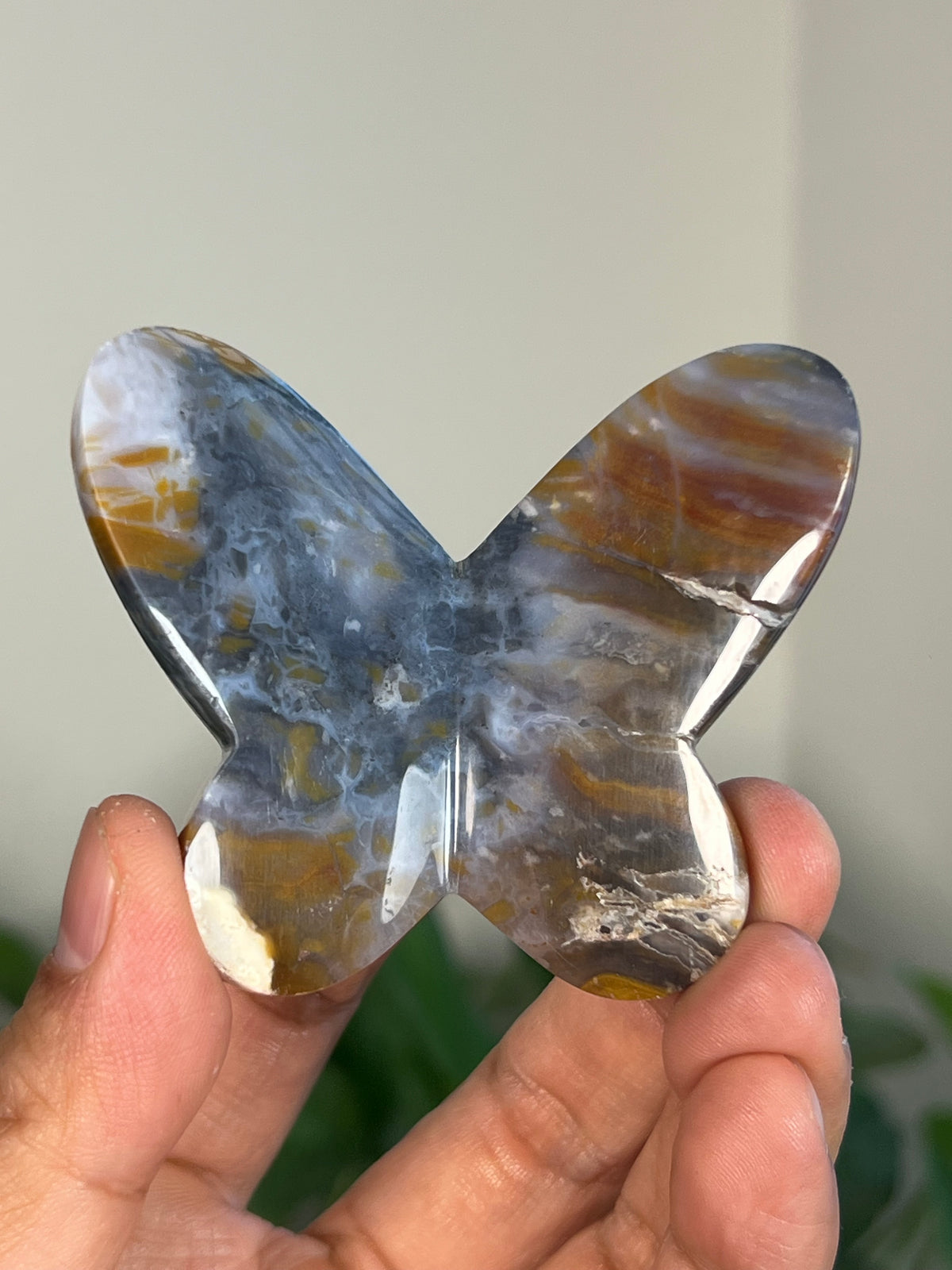 Milky River Jasper 3D Butterflies