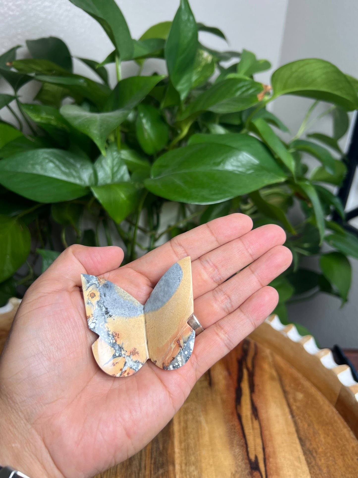 Maligano 3D Butterfly: BC