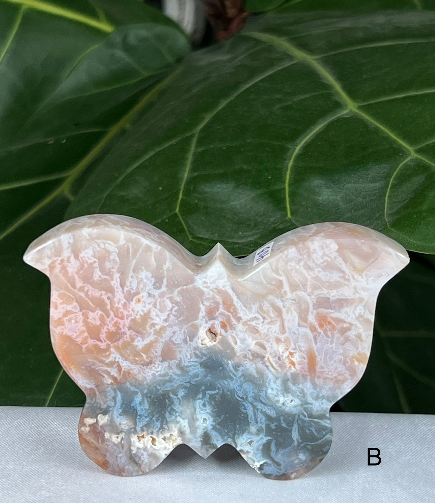 Rainbow Plume Agate Butterfly