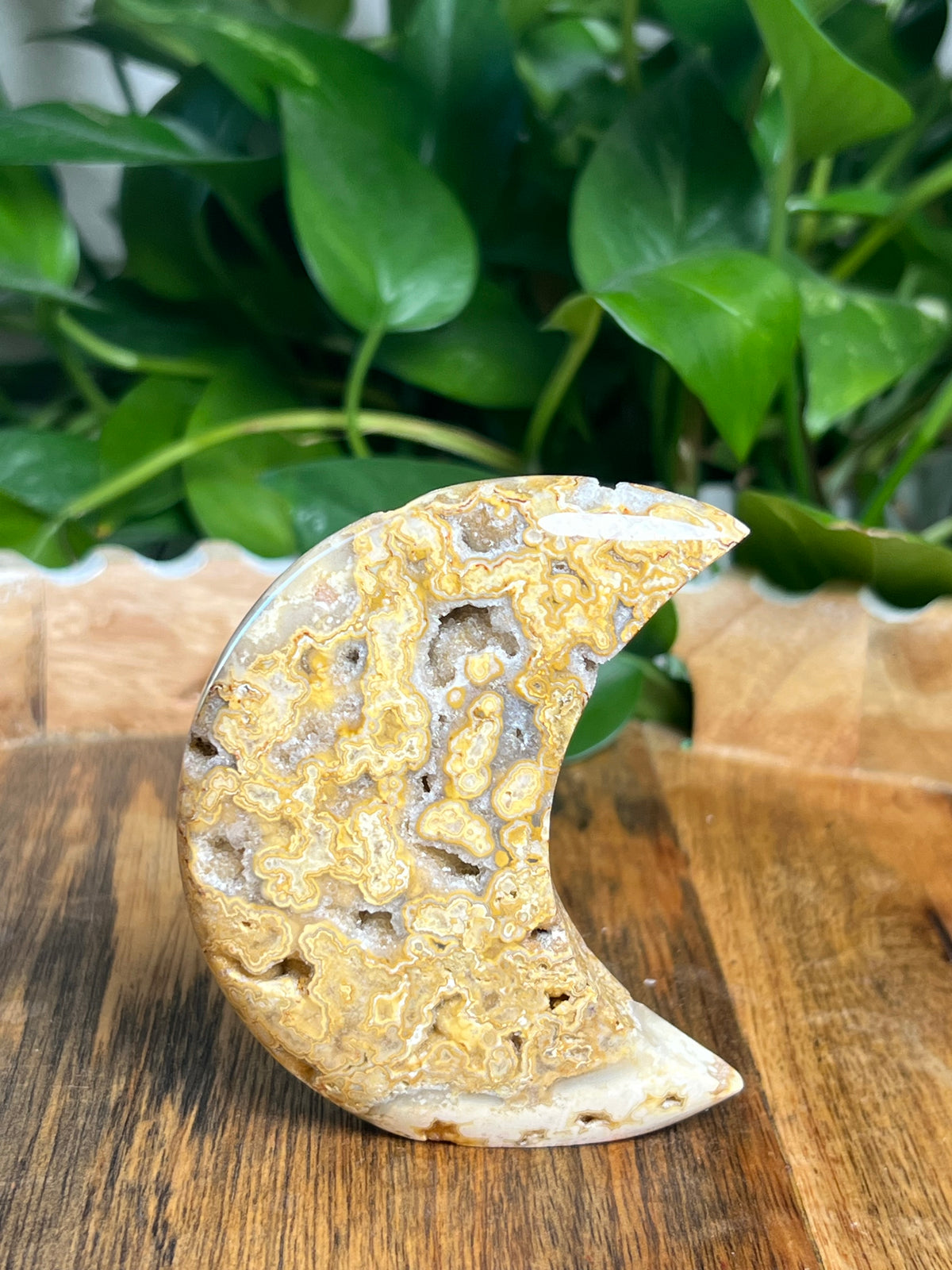 Crazy Lace Agate Self Standing Moon: CC