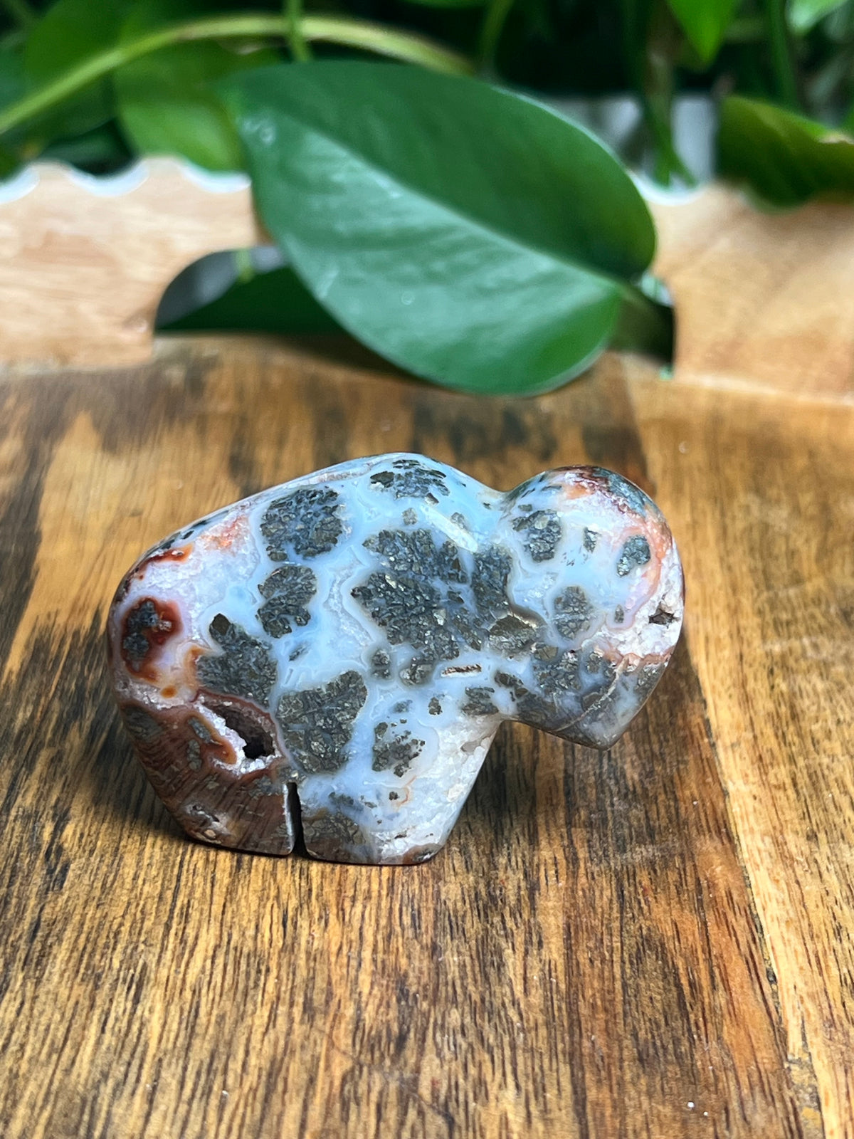 Marcasite Mini Buffalo: Mi