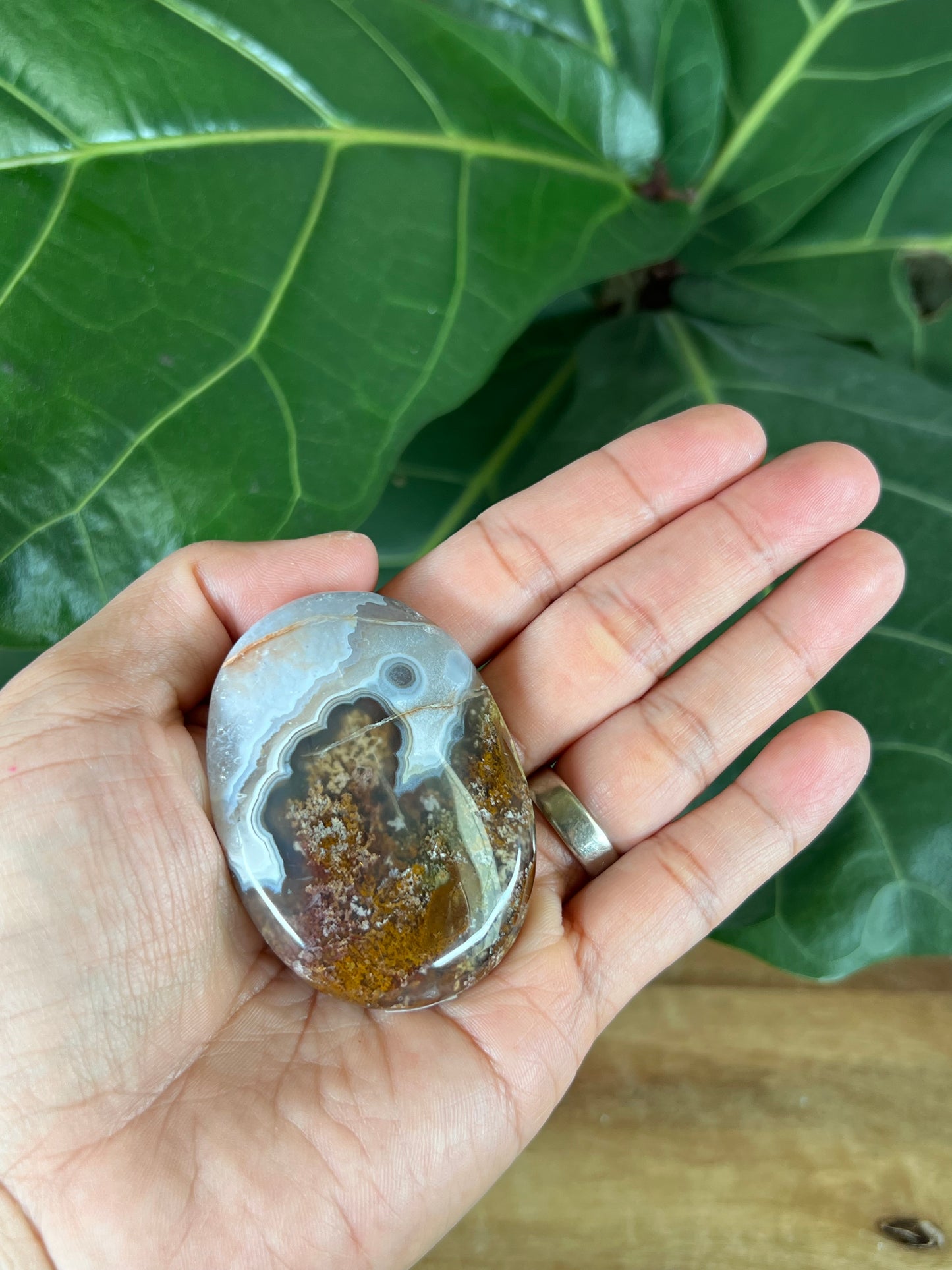 Scenic Moss Agate Palm Stone