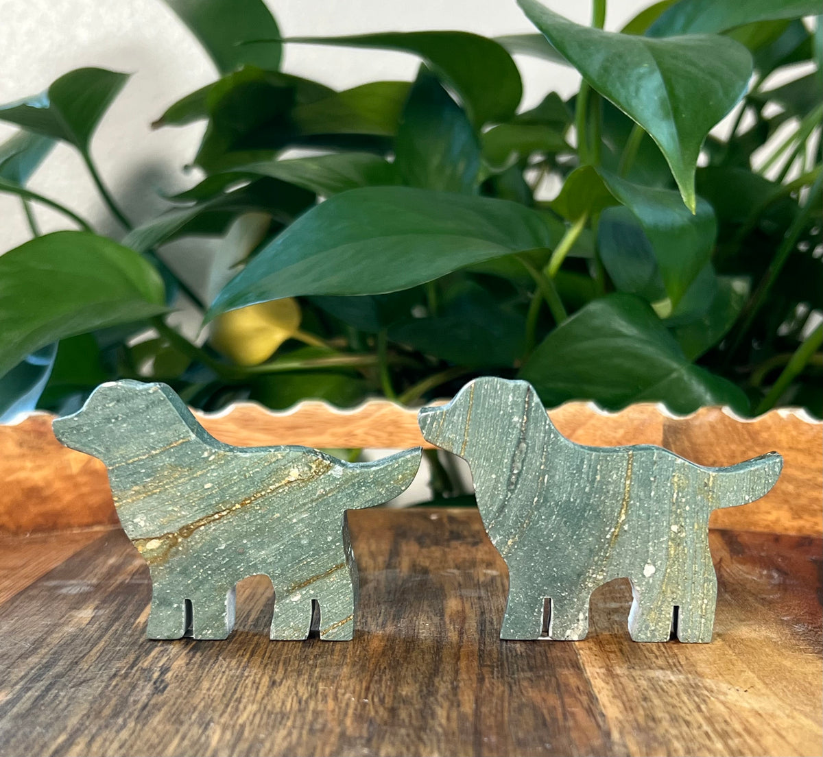 Blue Green Jasper Dogs