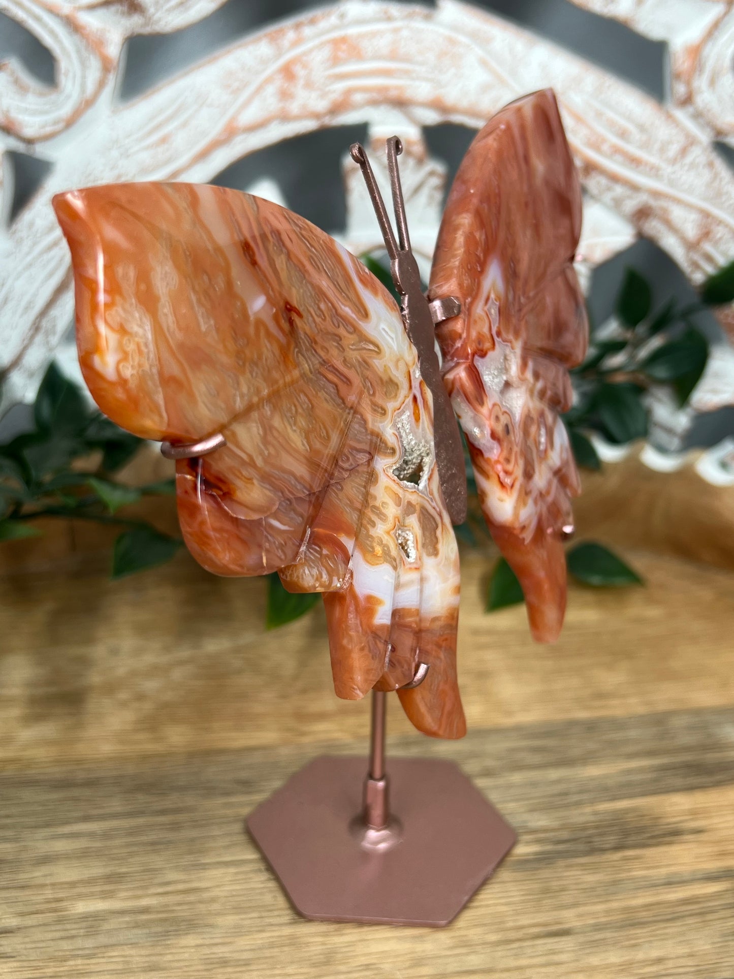 Carnelian Wings