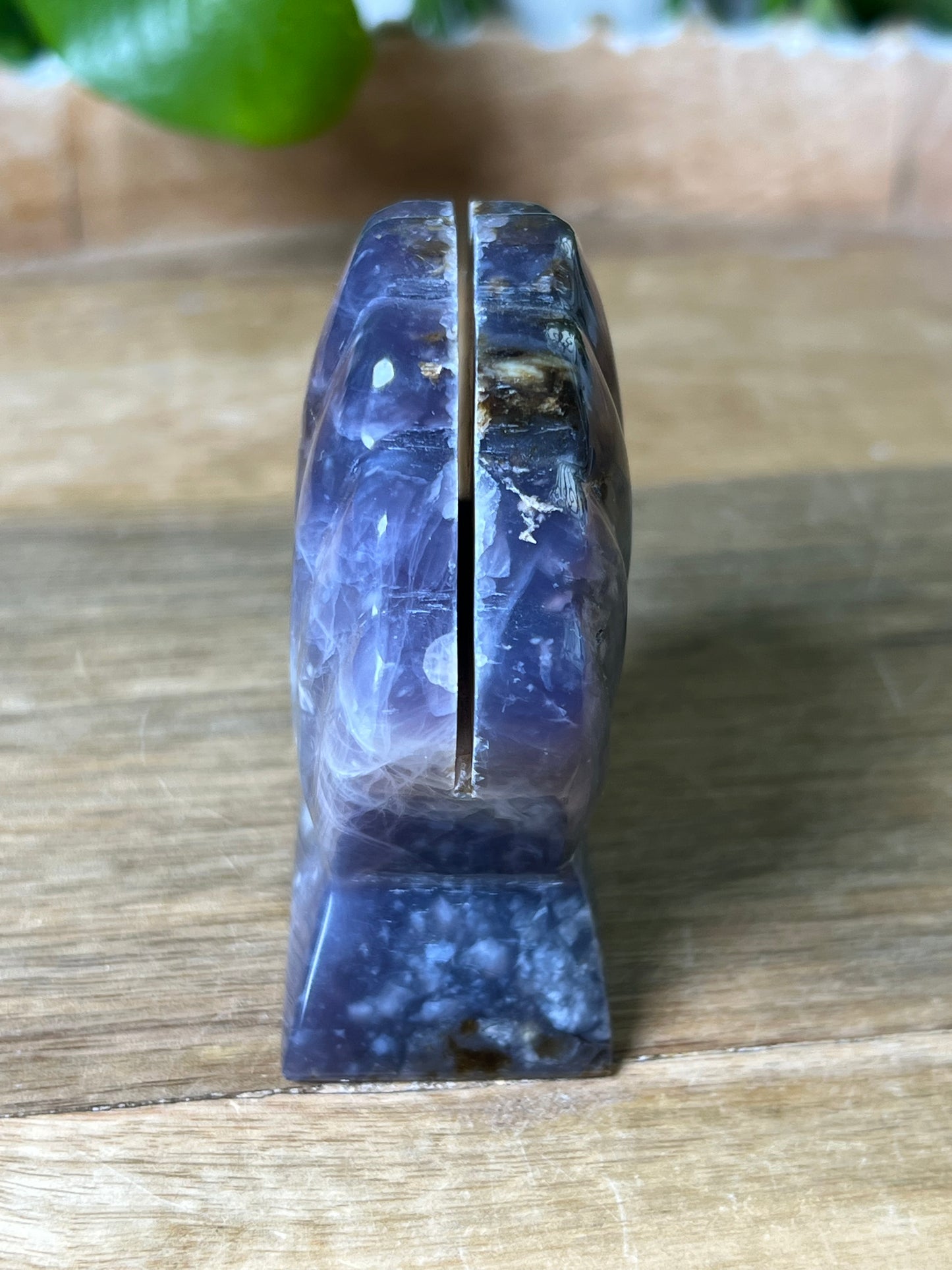 Purple Chalcedony Shell