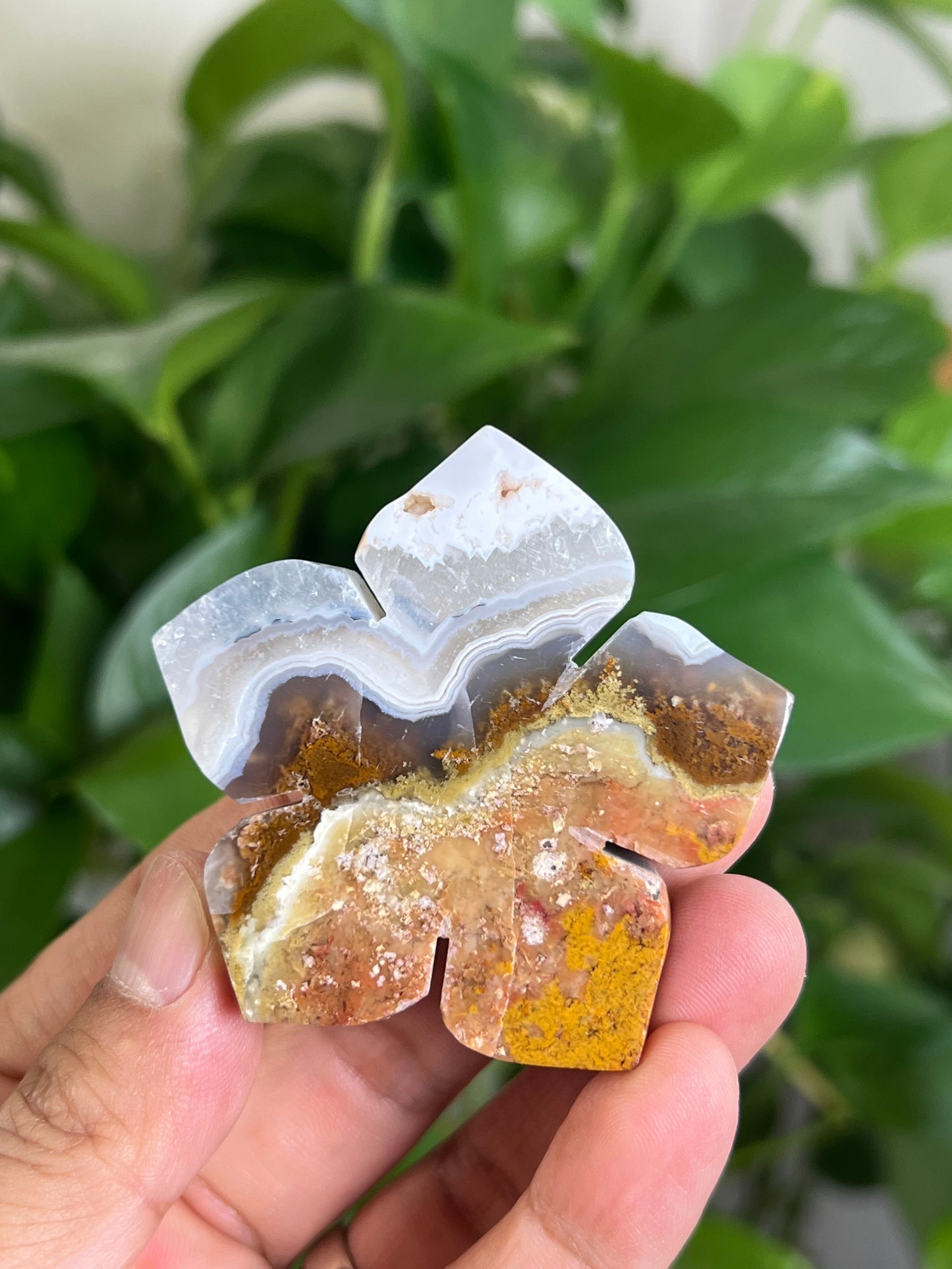 Scenic Moss Agate Flower ND