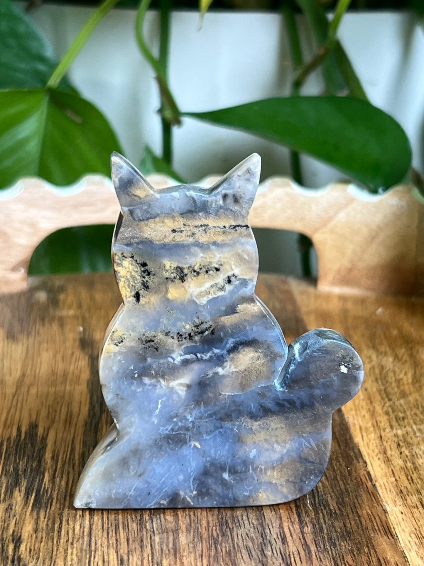 Dendritic Tiger Agate Cat AD