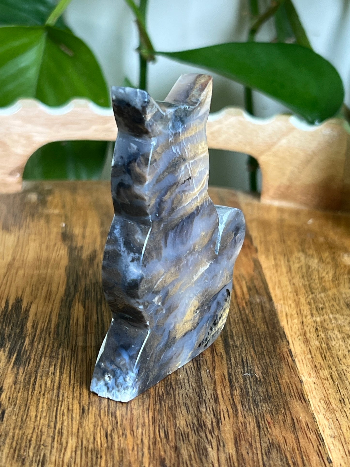 Dendritic Tiger Agate Cat AY