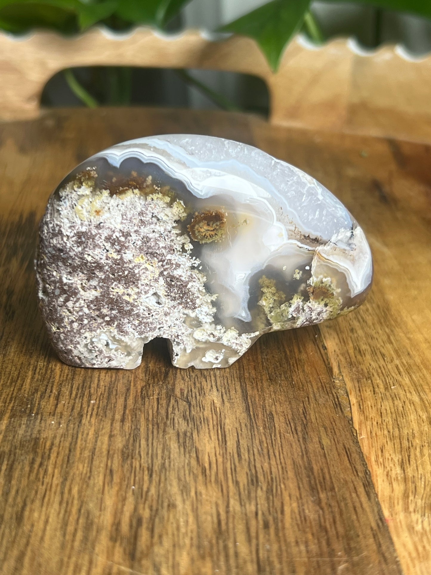 Scenic Moss Agate Bear BQ