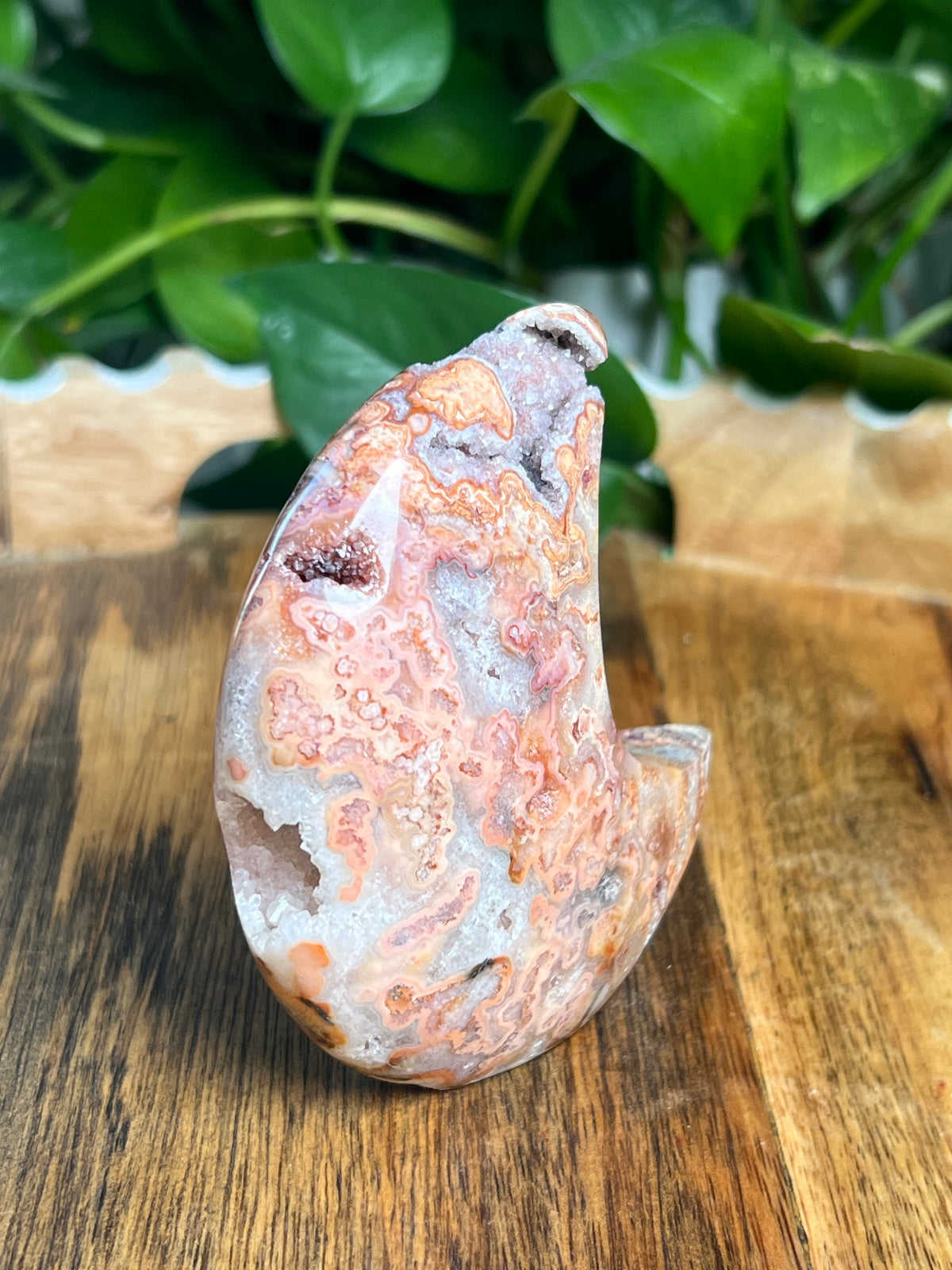Crazy Lace Agate Self Standing Moon: MB
