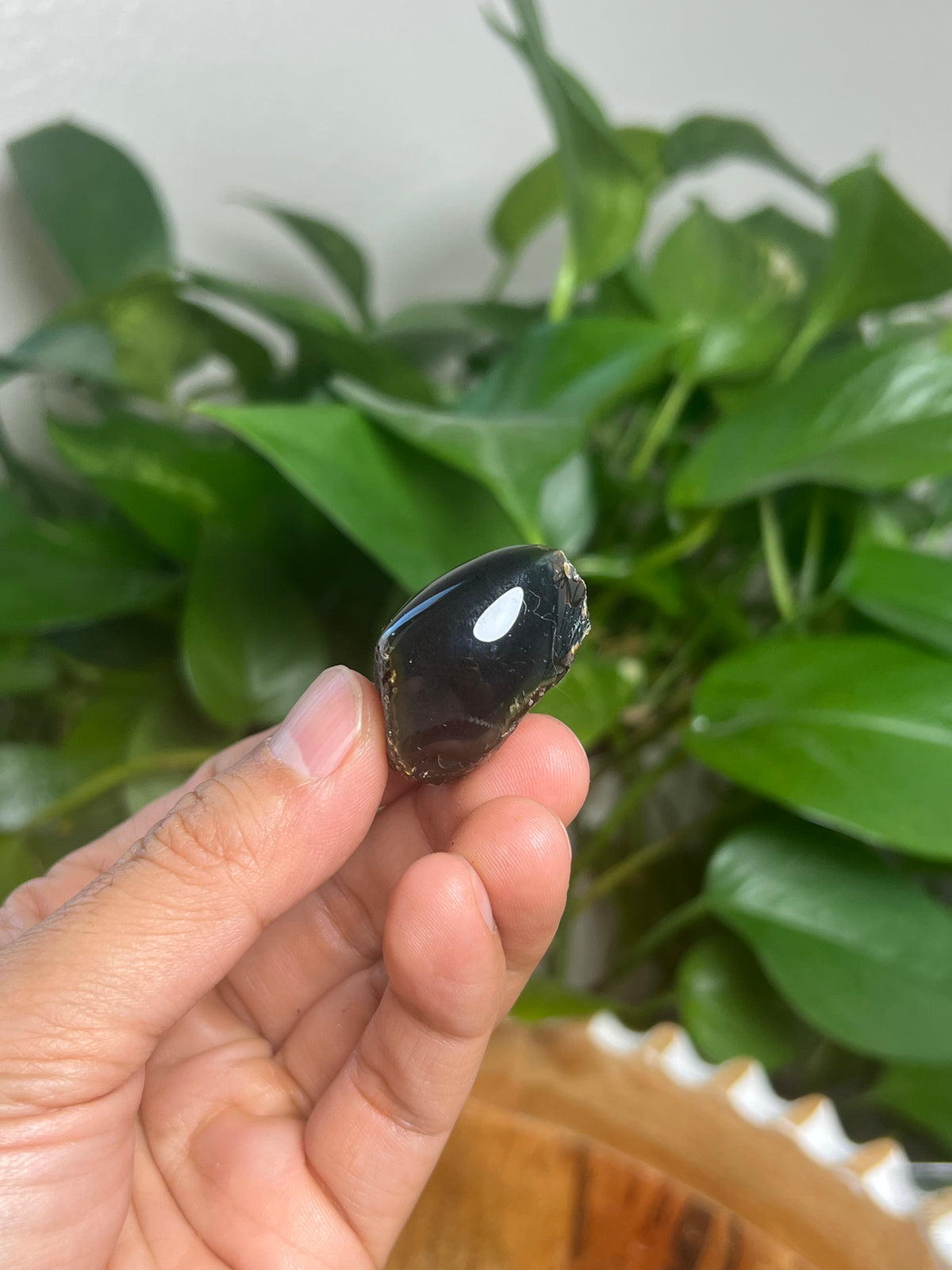 Blue Amber Freeform: BR